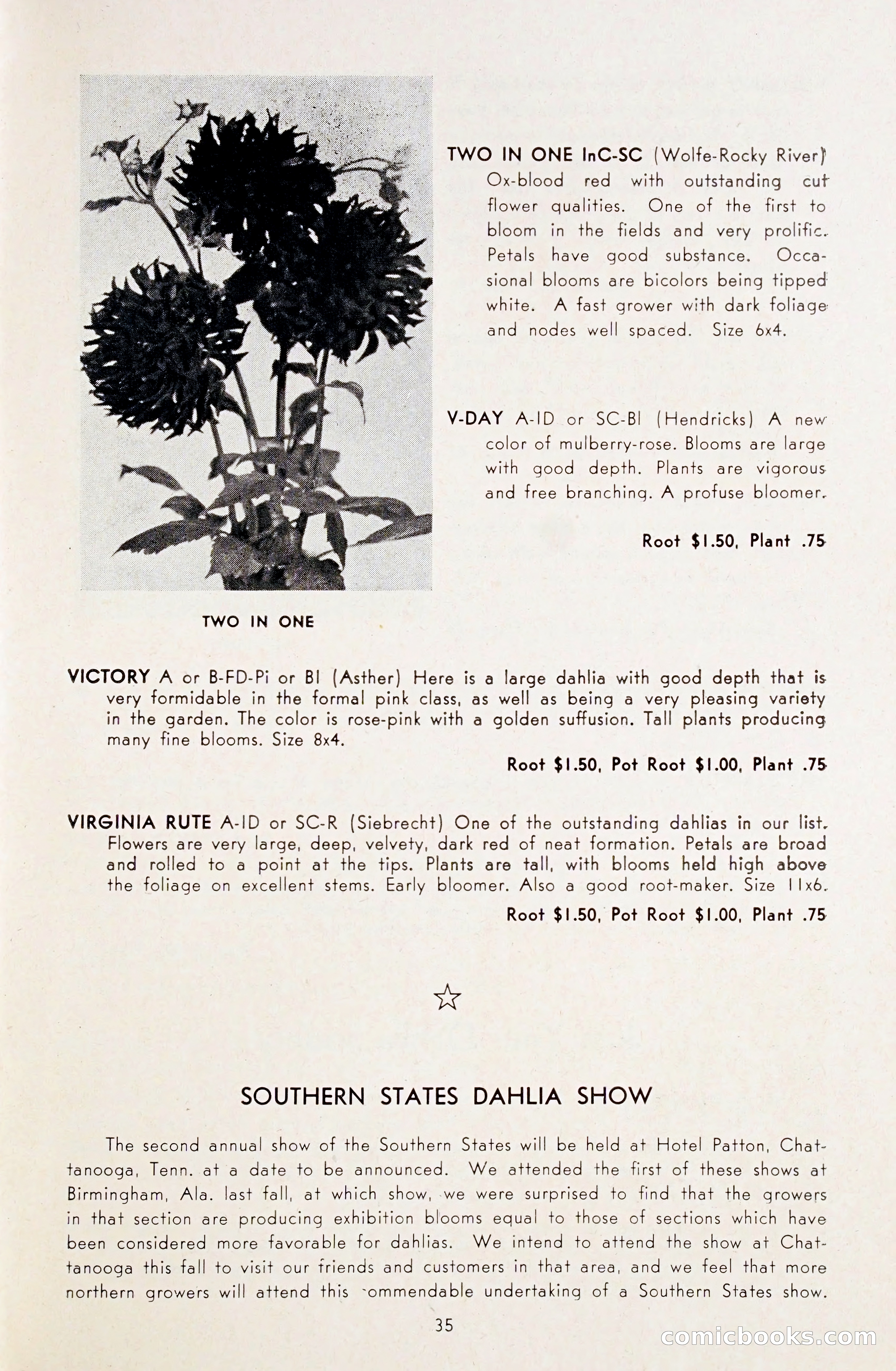 Dahlia Blue Book for 1948 — page 40 of 54