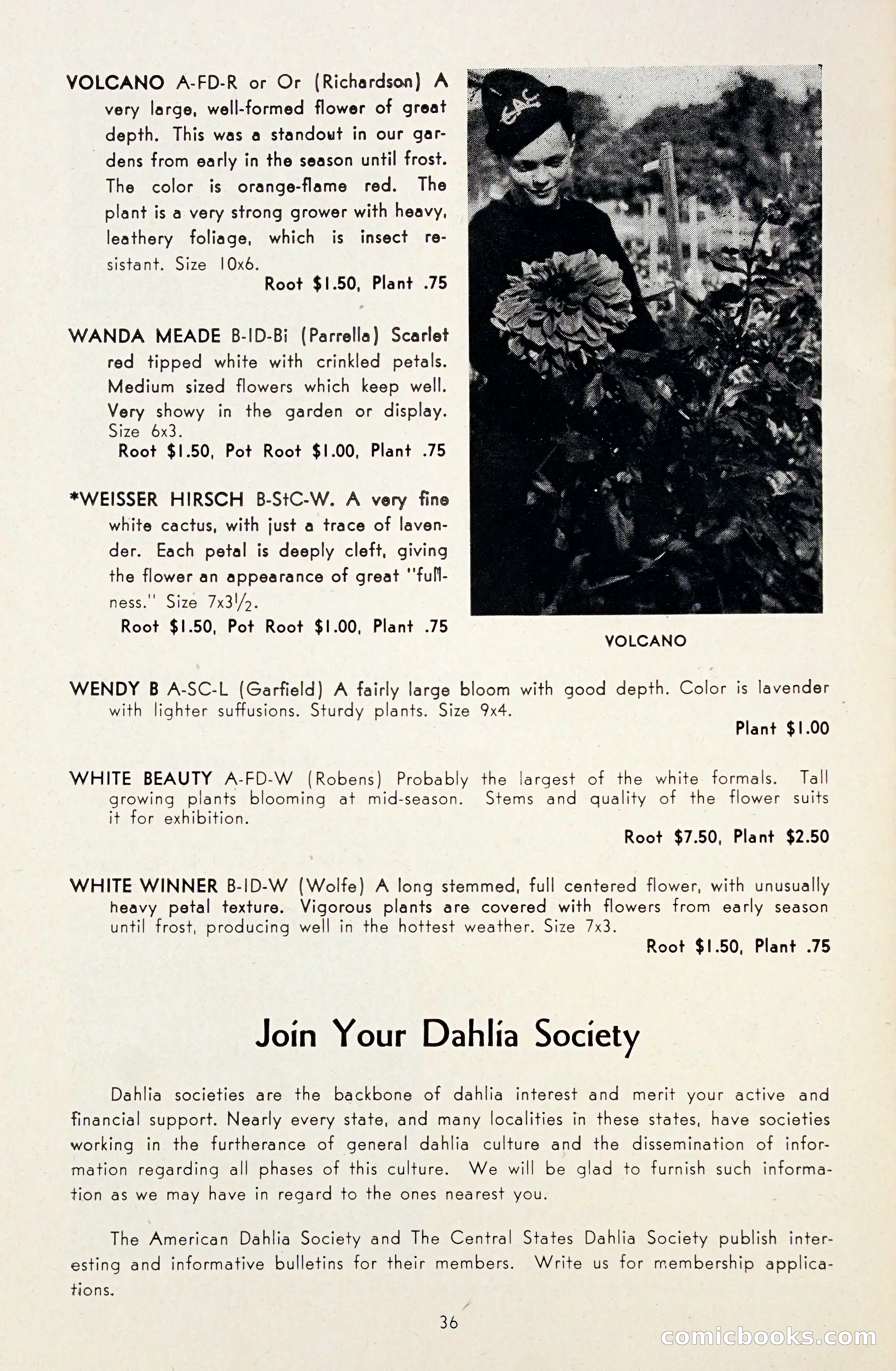 Dahlia Blue Book for 1948 — page 41 of 54