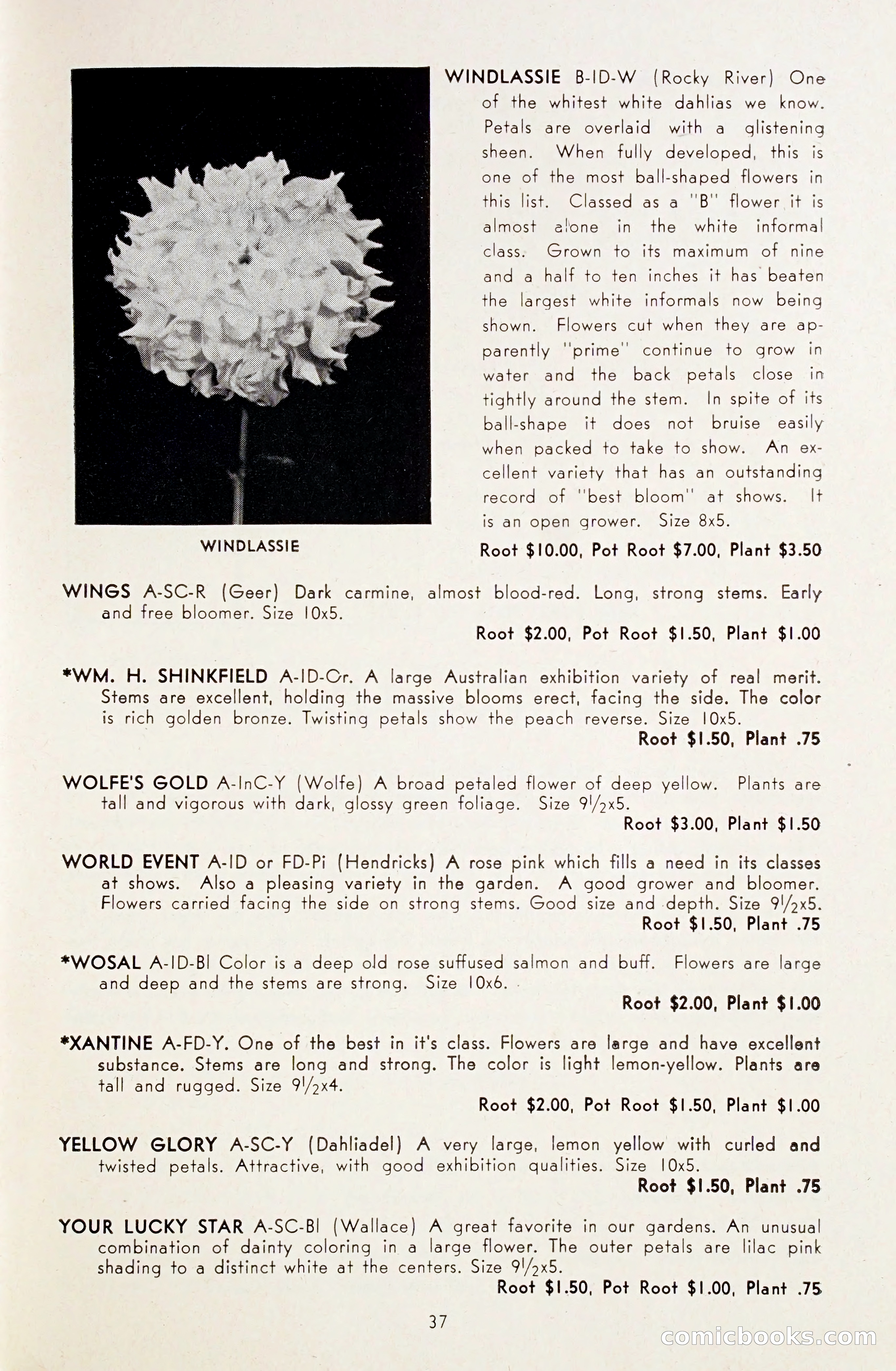 Dahlia Blue Book for 1948 — page 42 of 54