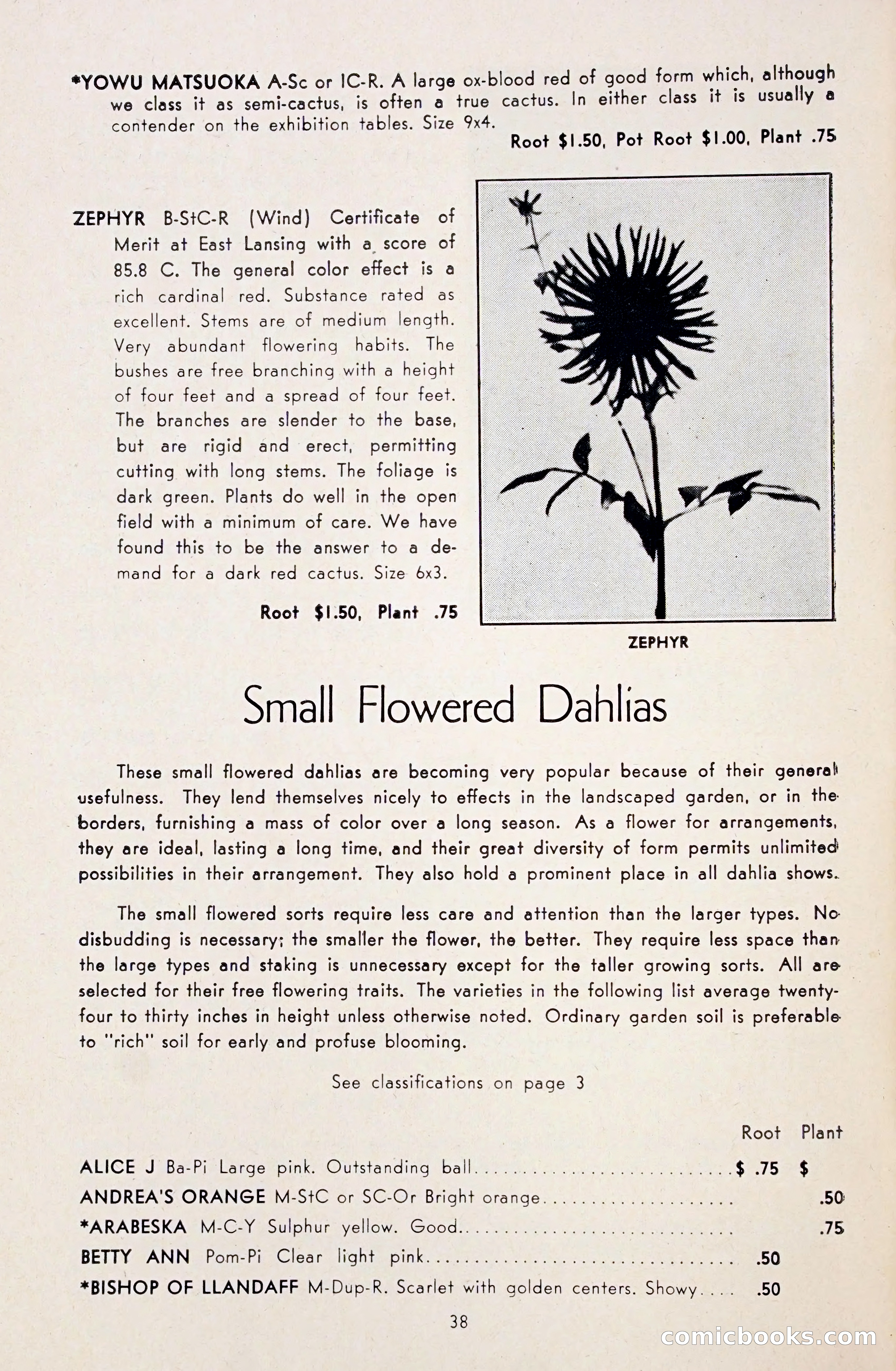 Dahlia Blue Book for 1948 — page 43 of 54