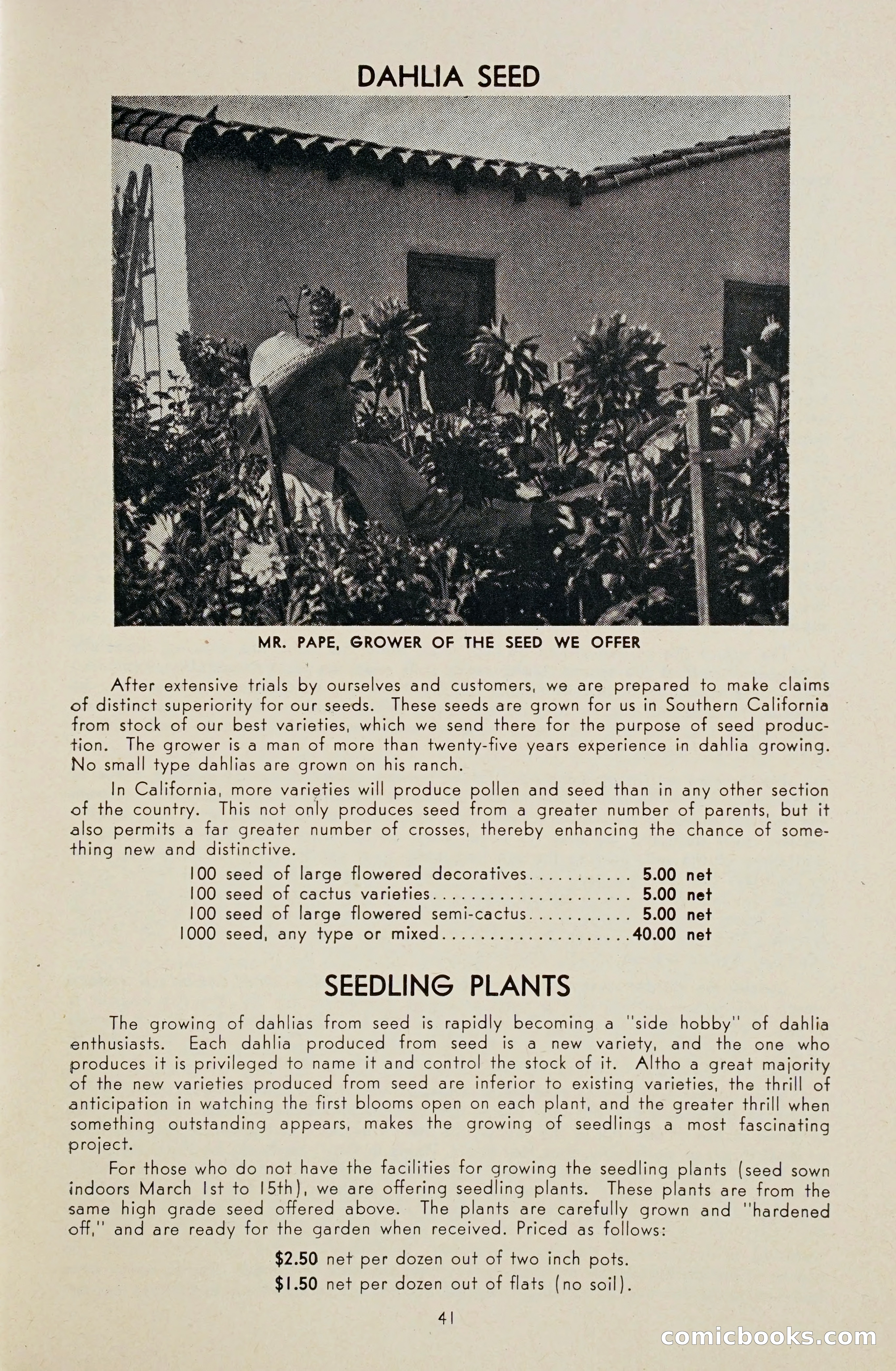 Dahlia Blue Book for 1948 — page 46 of 54