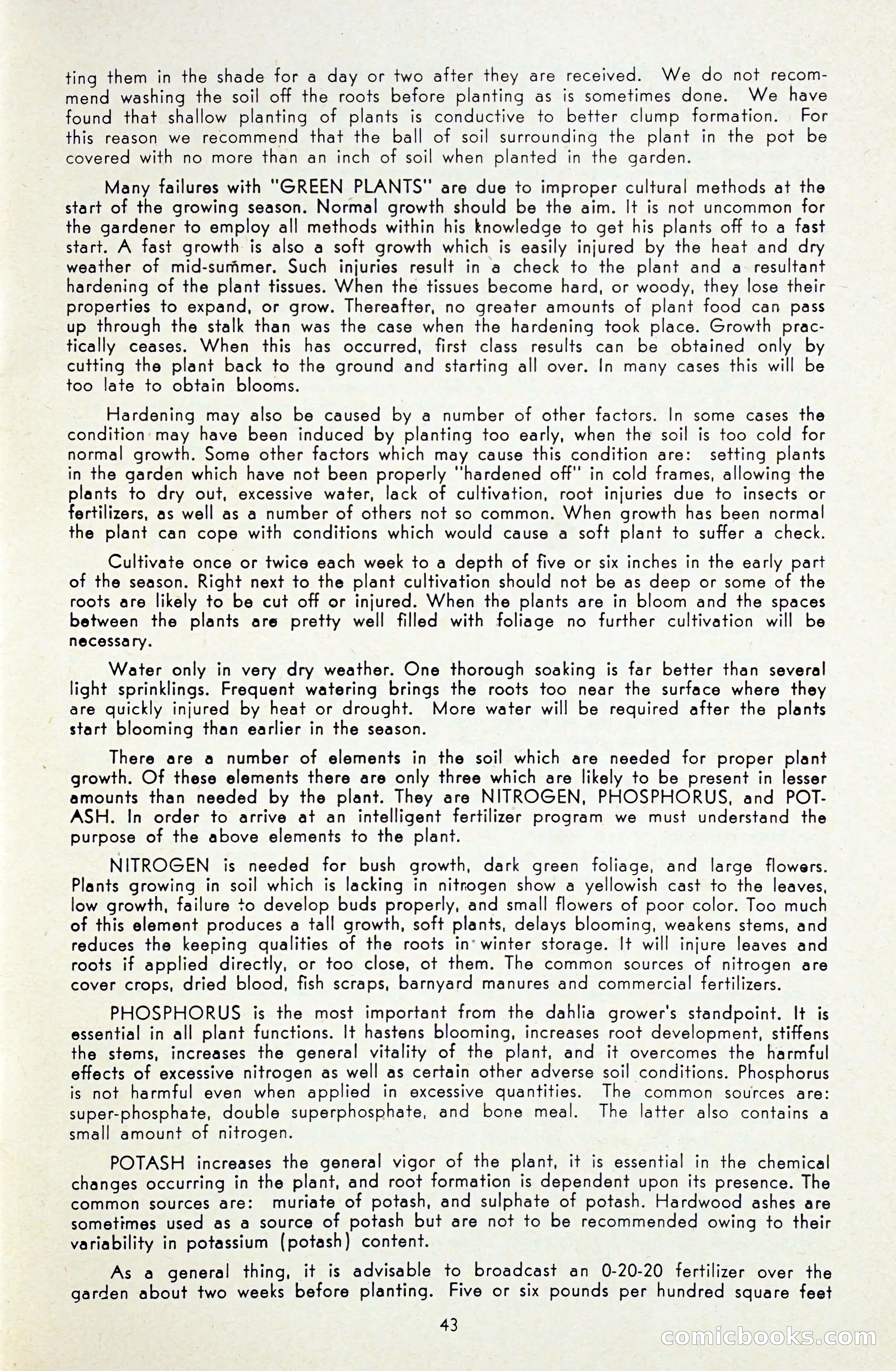 Dahlia Blue Book for 1948 — page 48 of 54