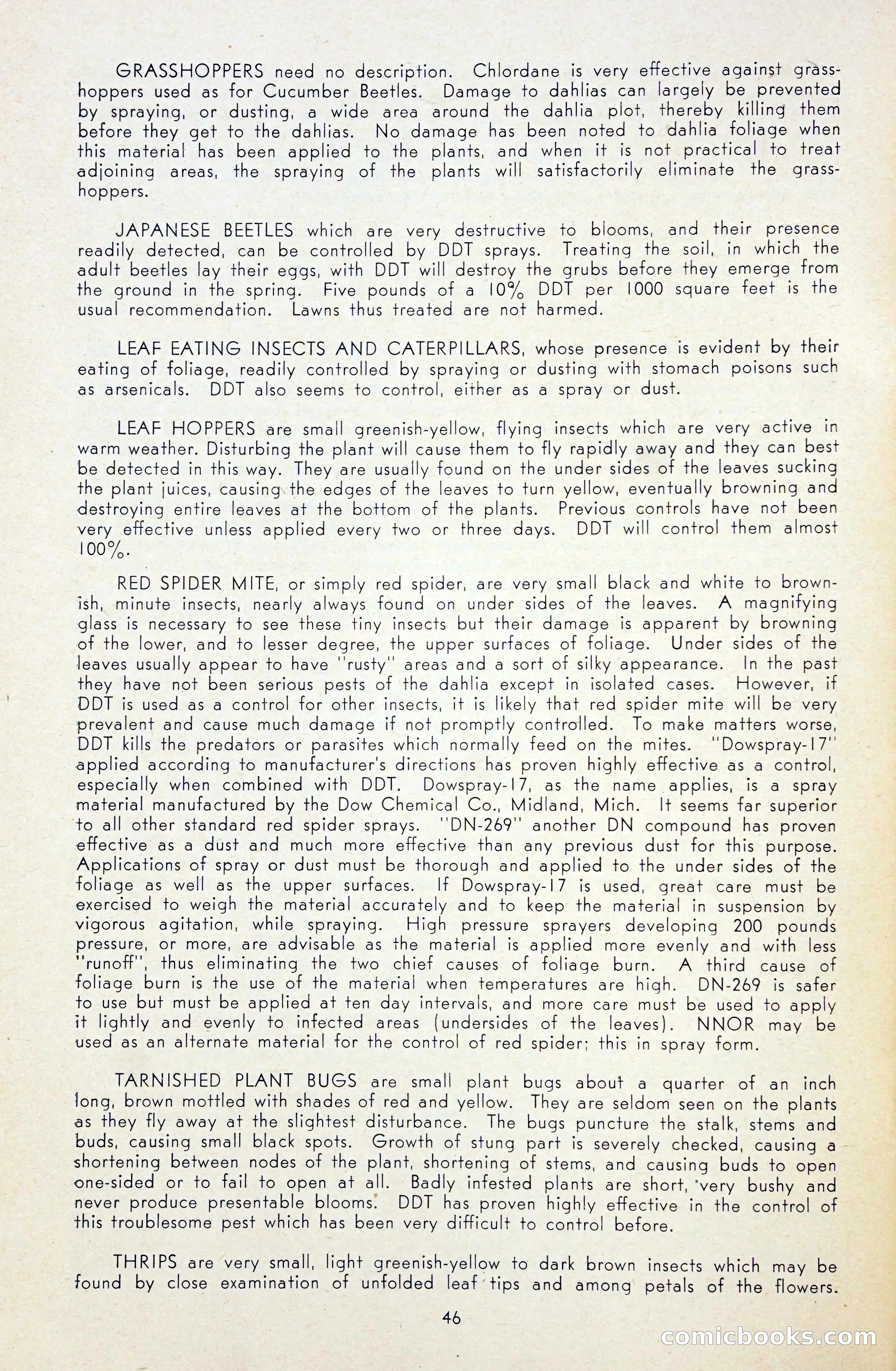 Dahlia Blue Book for 1948 — page 51 of 54