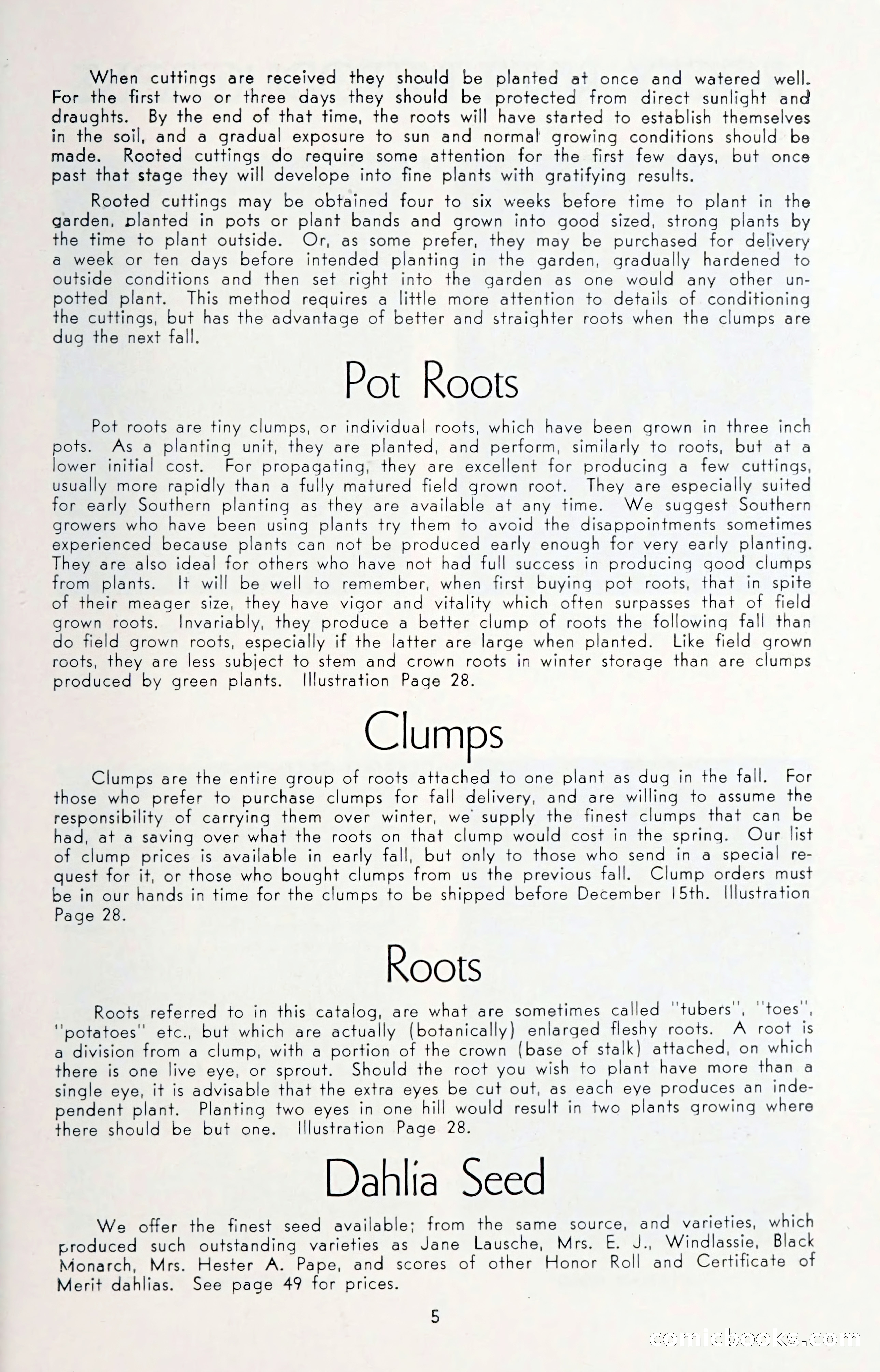 Dahlia Blue Book for 1950 — page 9 of 62