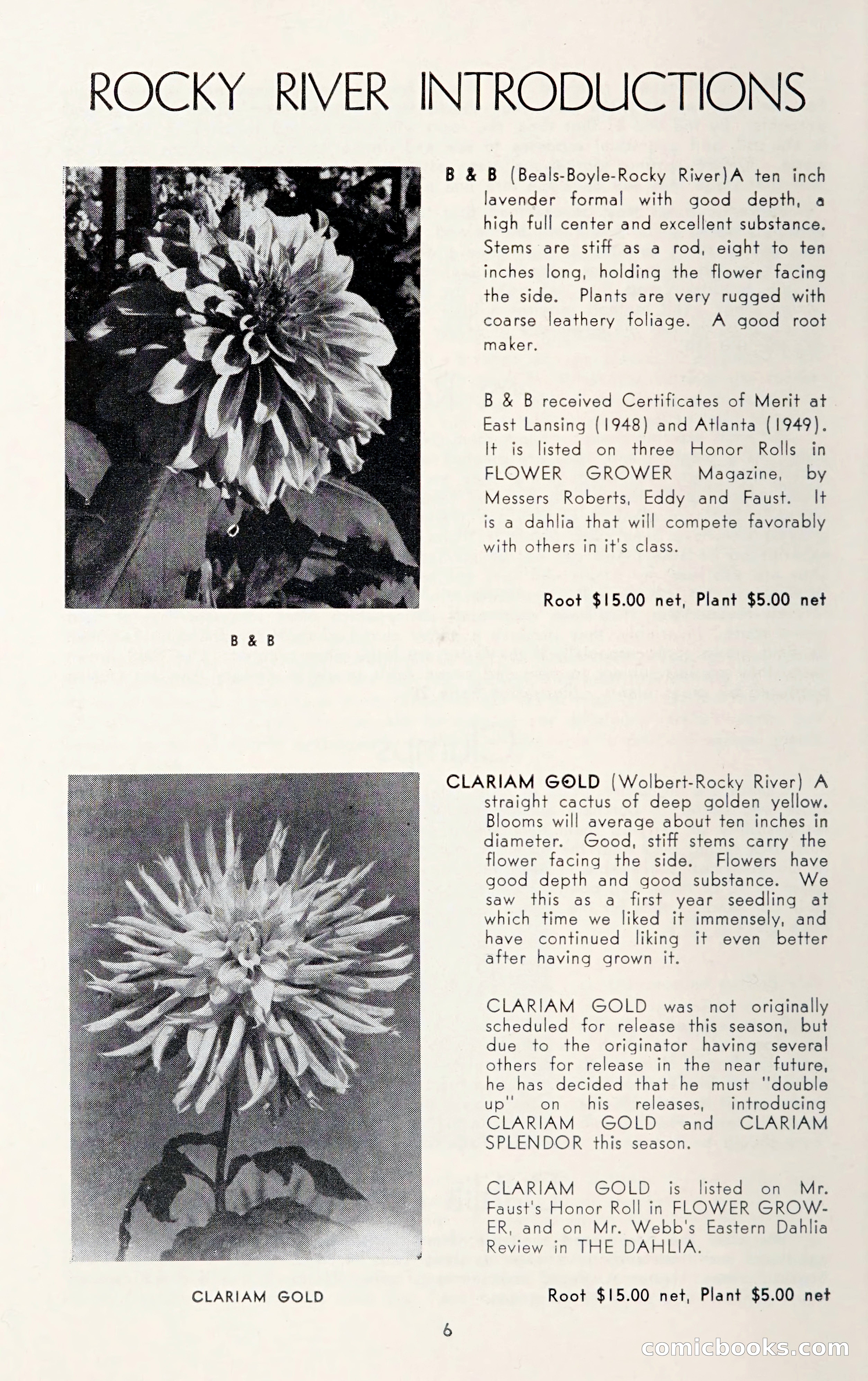 Dahlia Blue Book for 1950 — page 10 of 62