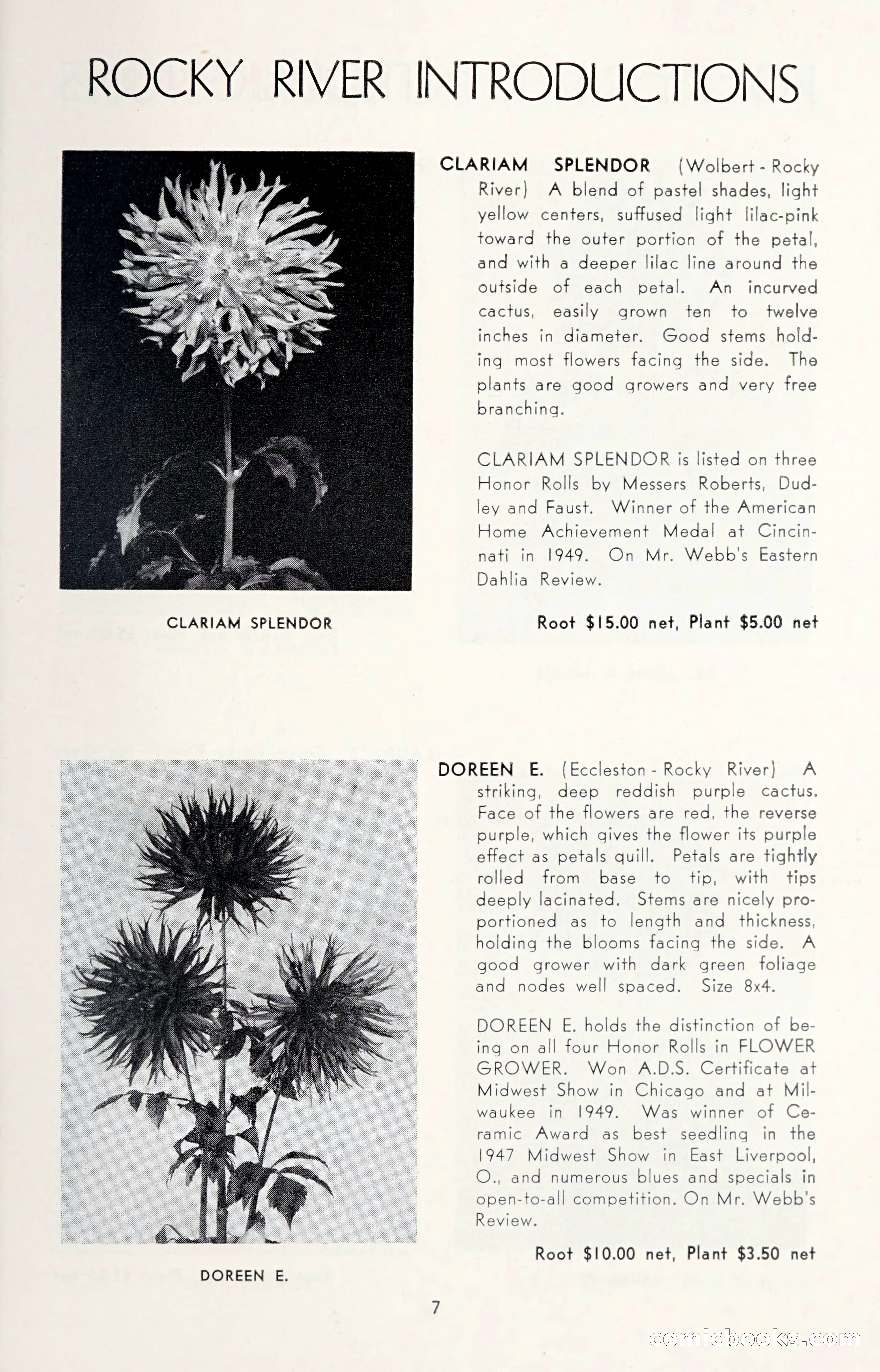 Dahlia Blue Book for 1950 — page 11 of 62