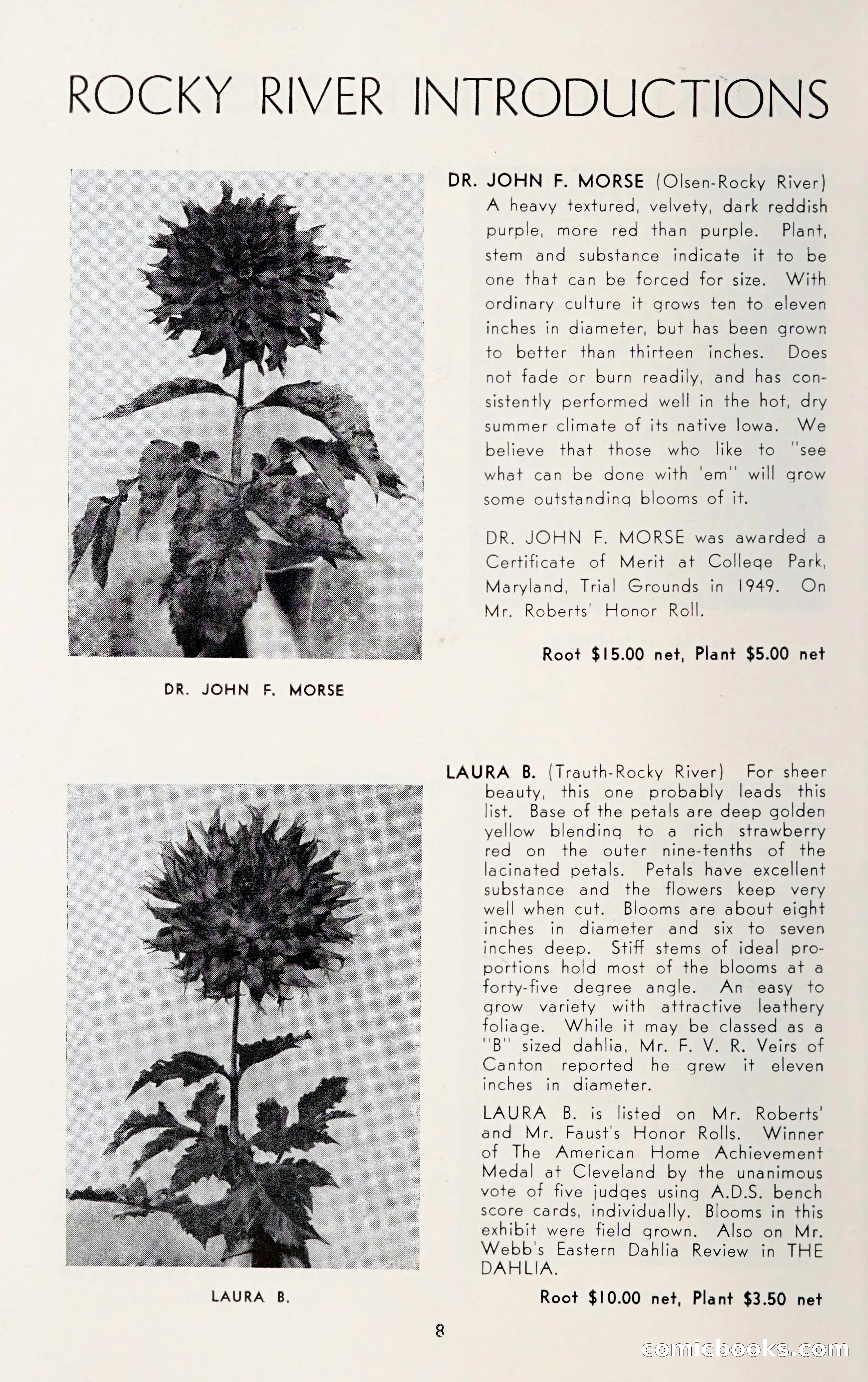Dahlia Blue Book for 1950 — page 12 of 62