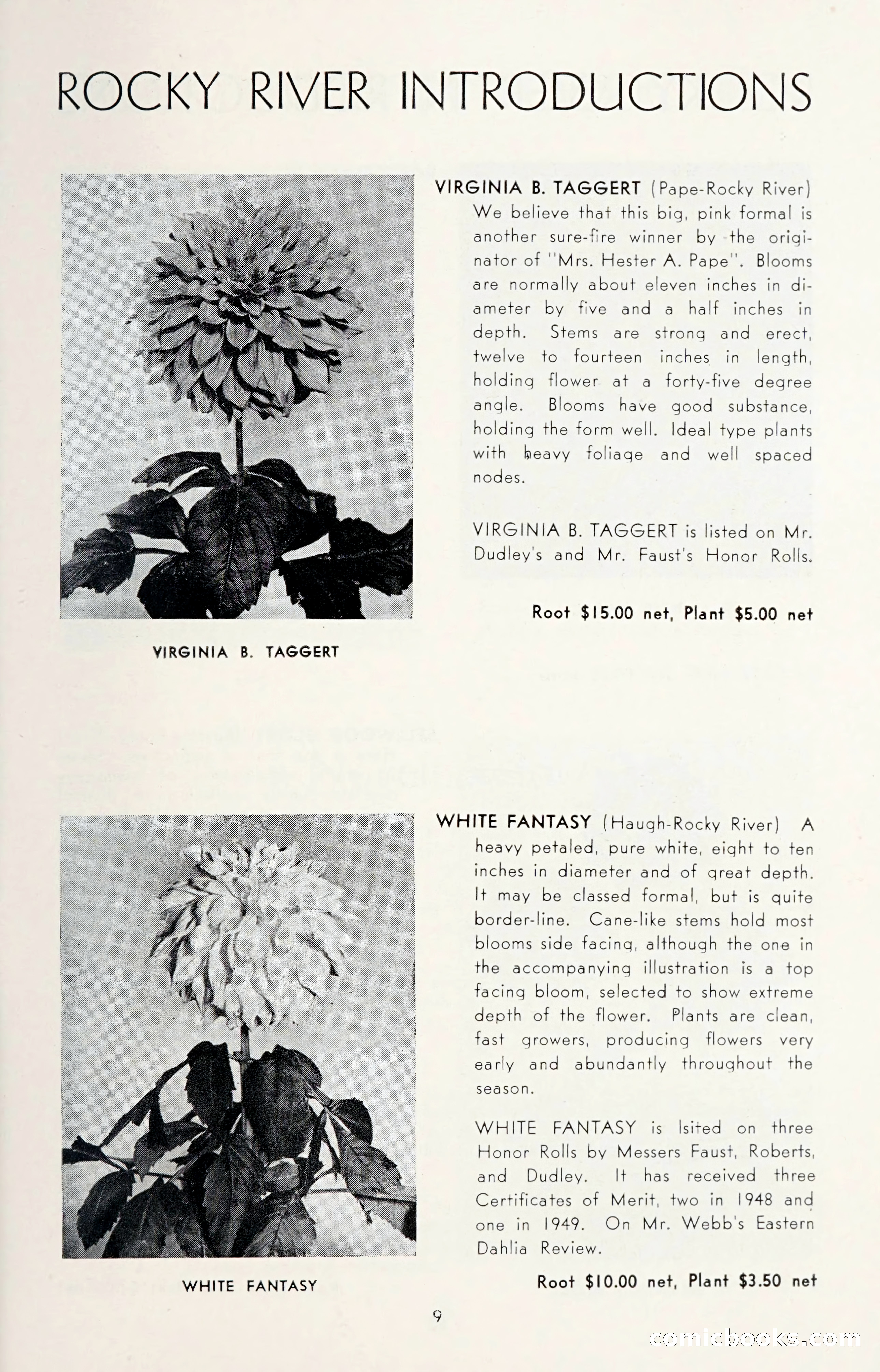Dahlia Blue Book for 1950 — page 13 of 62