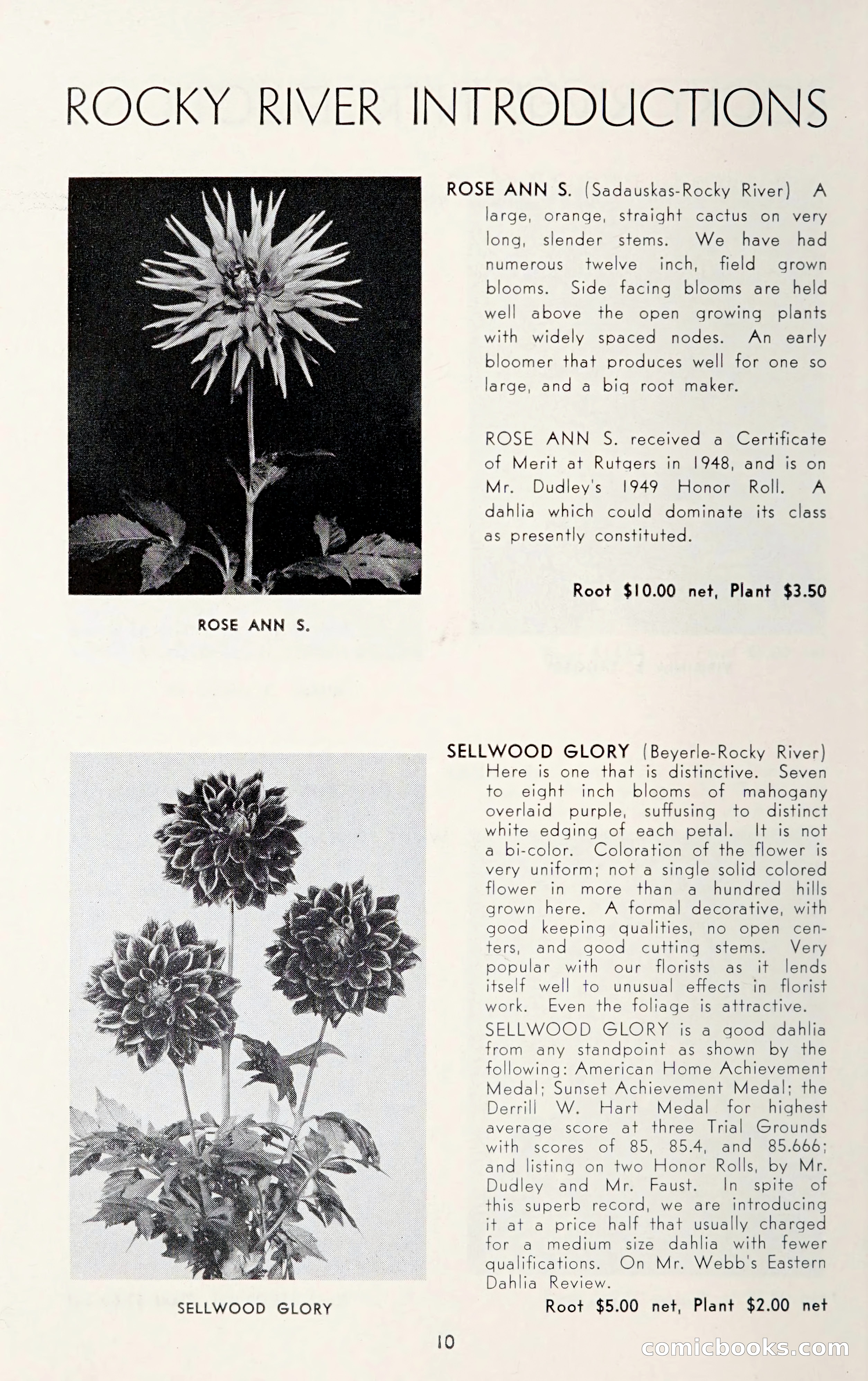 Dahlia Blue Book for 1950 — page 14 of 62