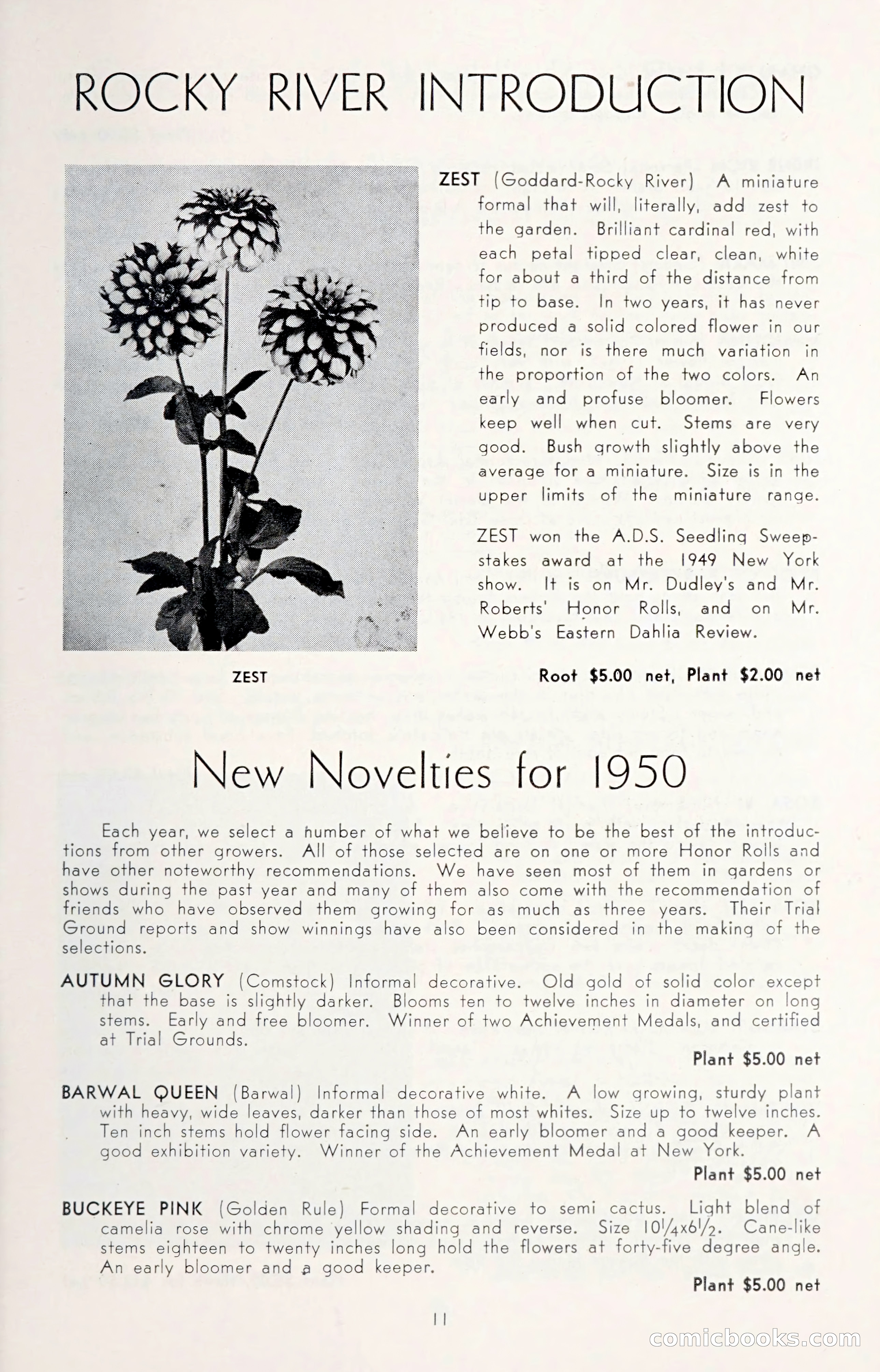 Dahlia Blue Book for 1950 — page 15 of 62