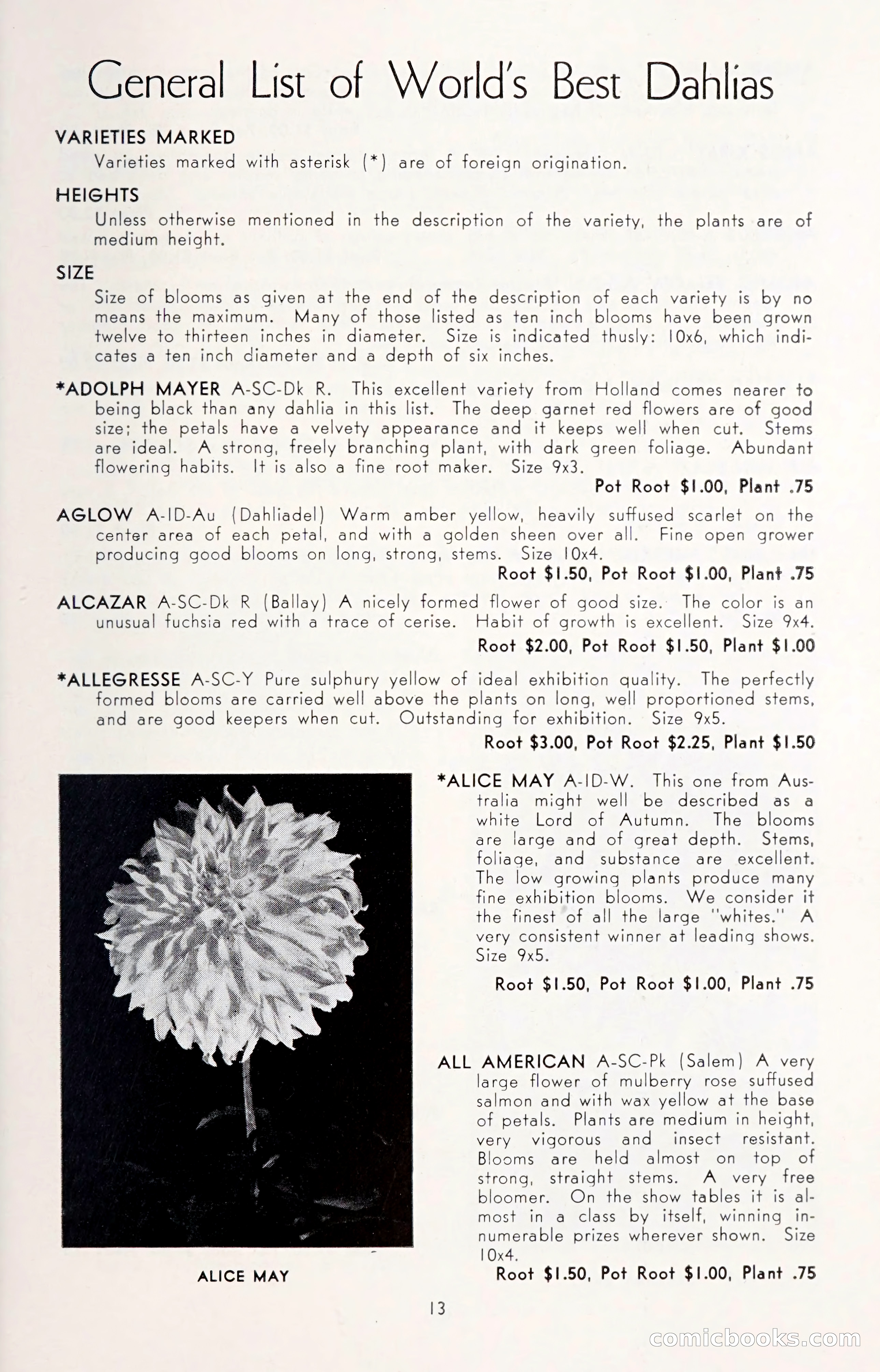 Dahlia Blue Book for 1950 — page 17 of 62