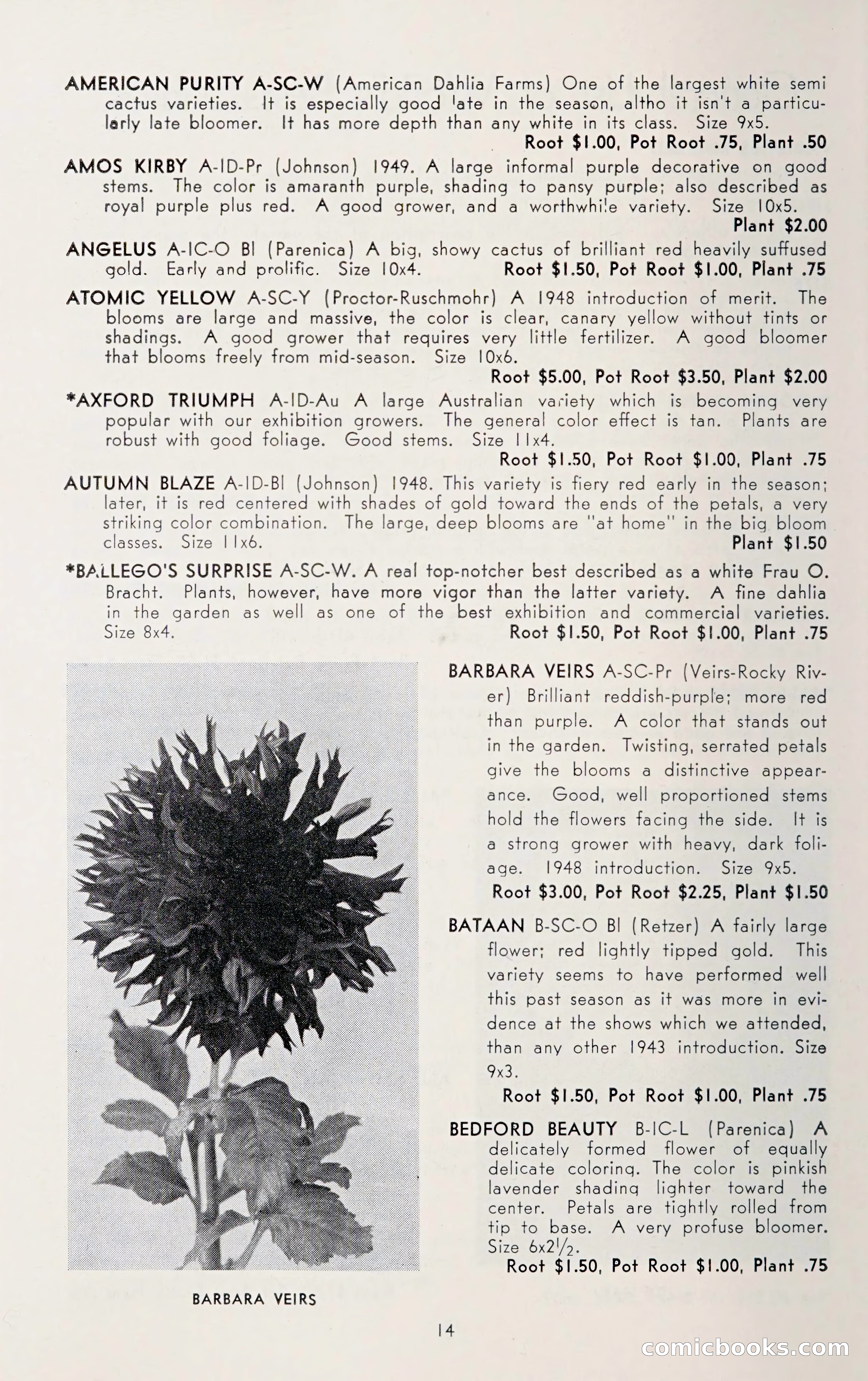 Dahlia Blue Book for 1950 — page 18 of 62