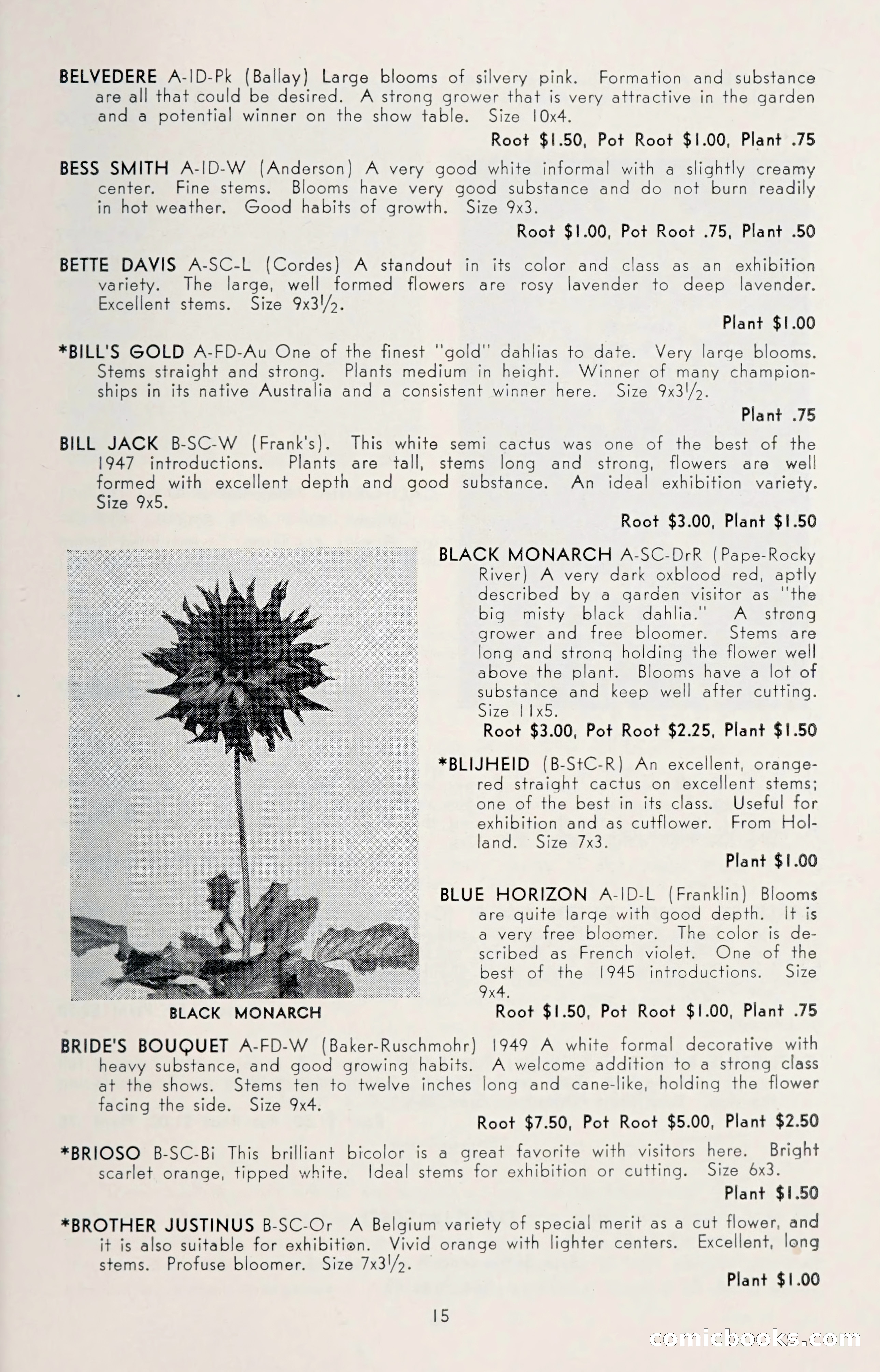 Dahlia Blue Book for 1950 — page 19 of 62
