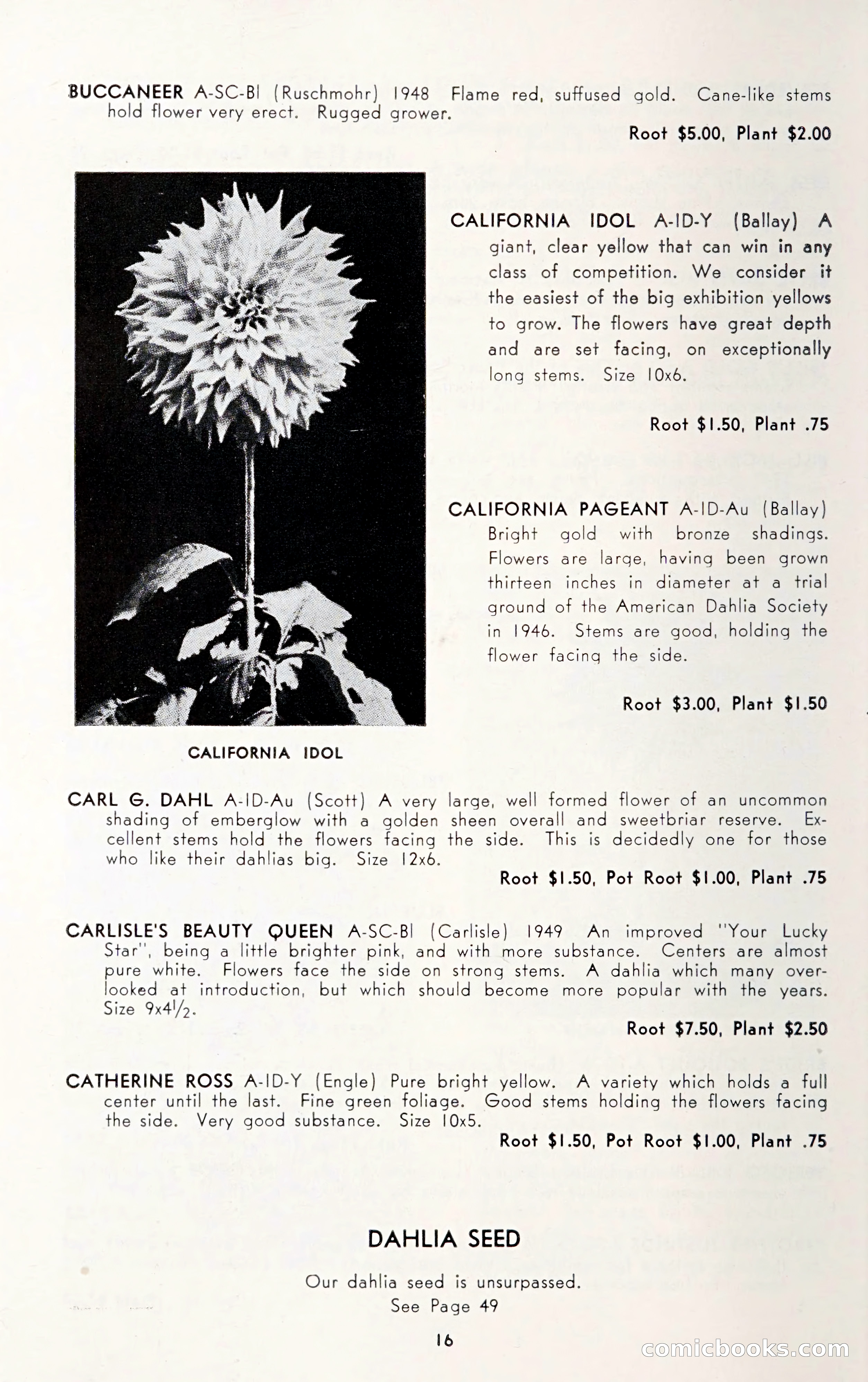 Dahlia Blue Book for 1950 — page 20 of 62