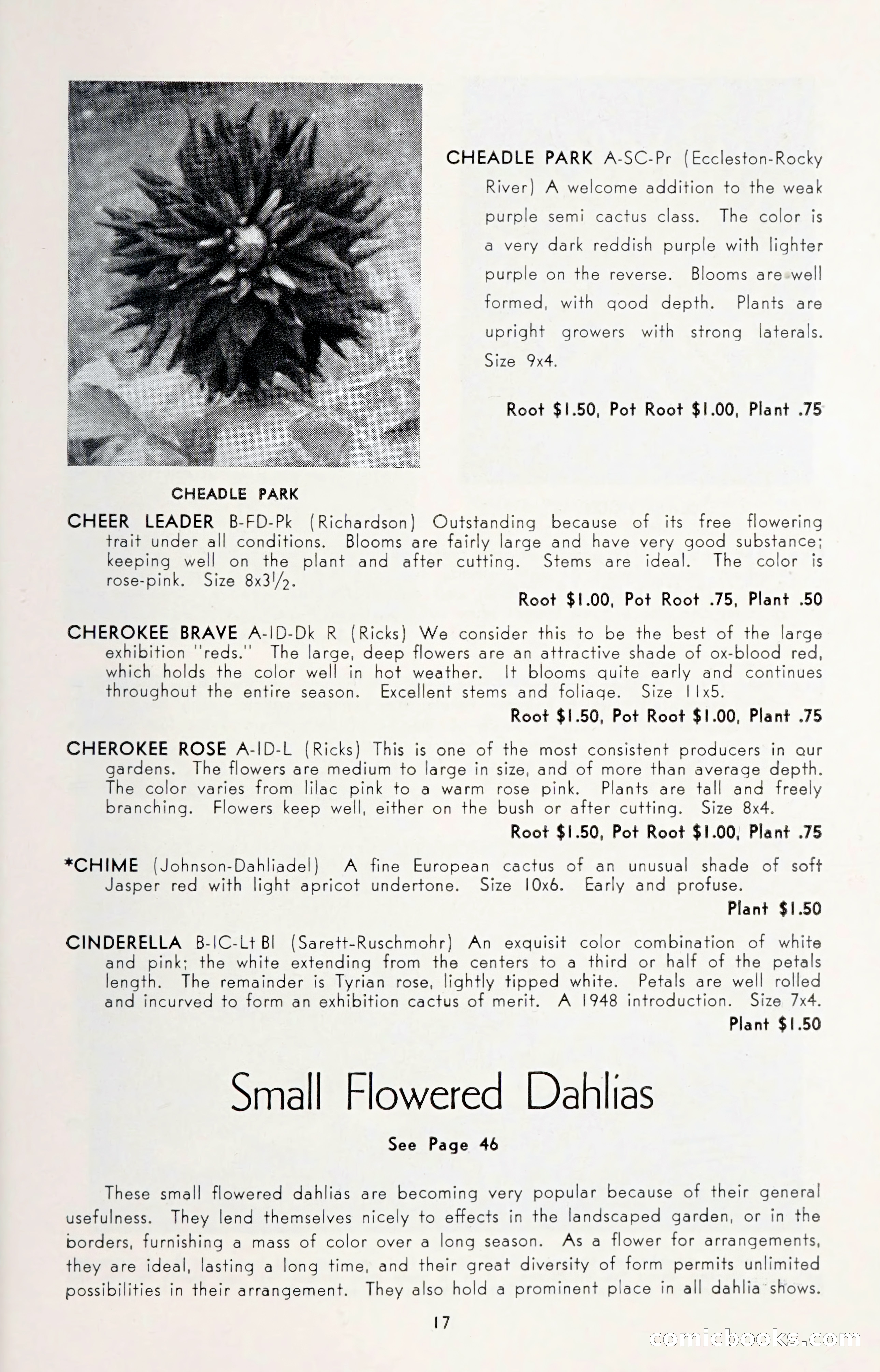 Dahlia Blue Book for 1950 — page 21 of 62