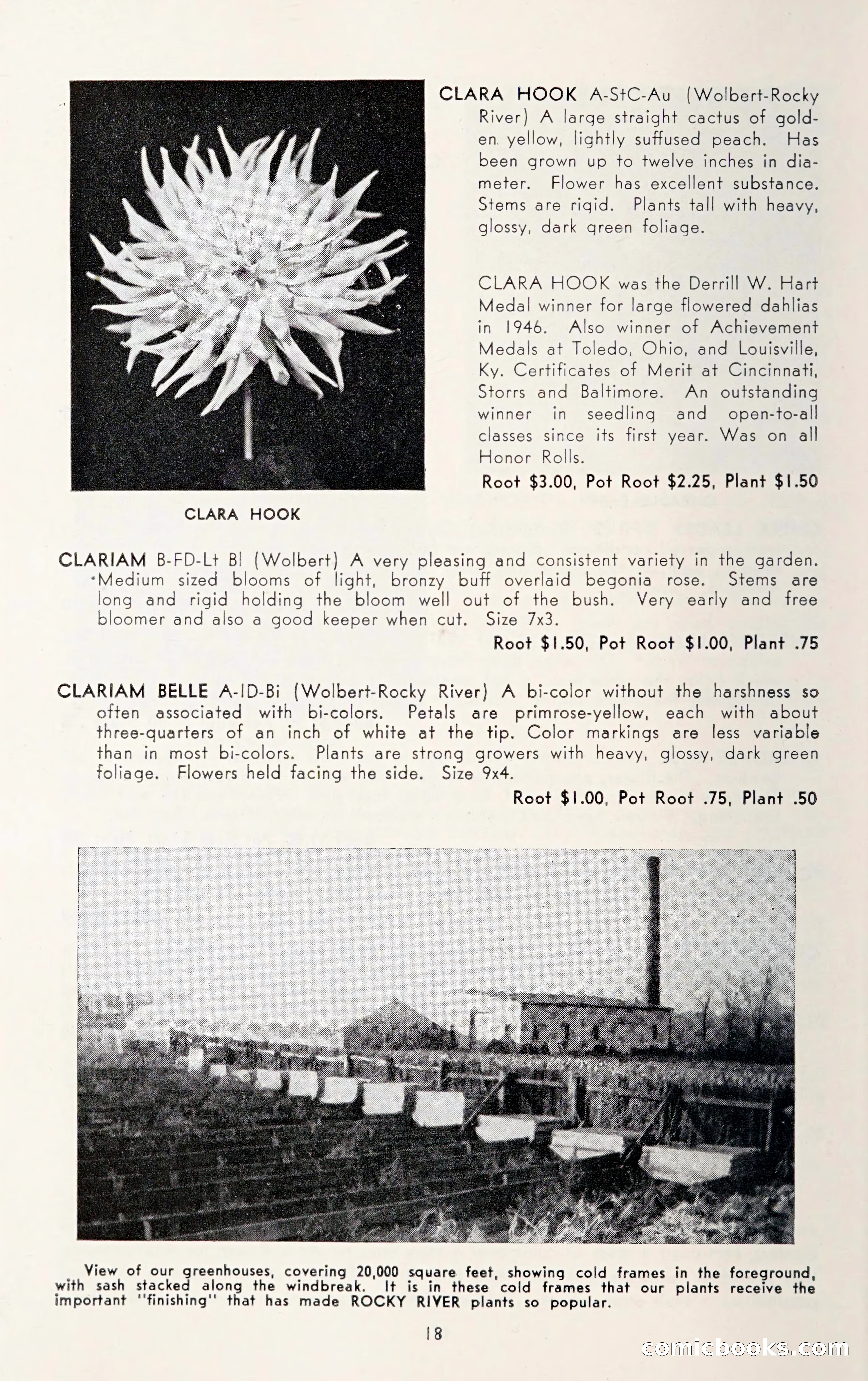 Dahlia Blue Book for 1950 — page 22 of 62