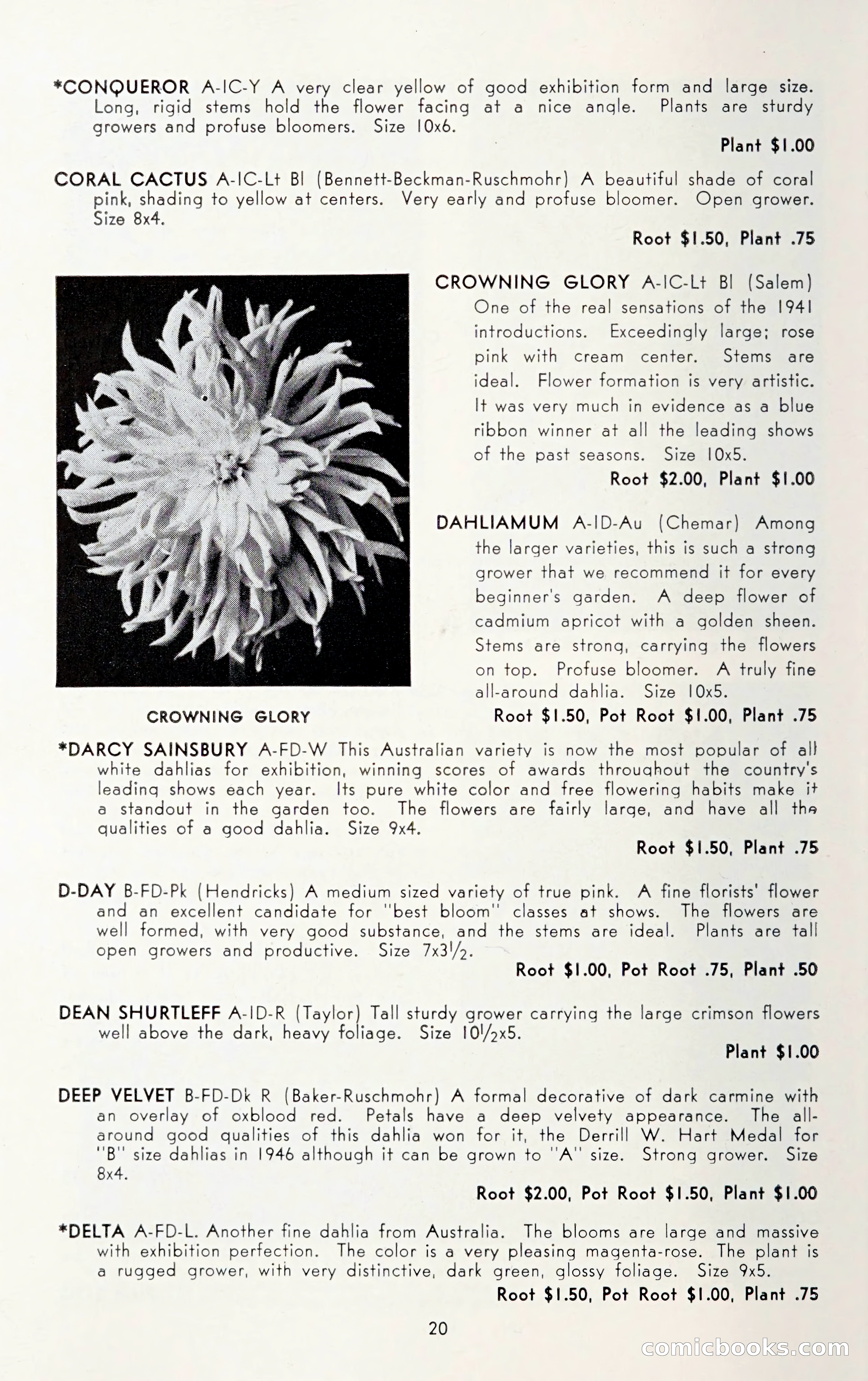 Dahlia Blue Book for 1950 — page 24 of 62