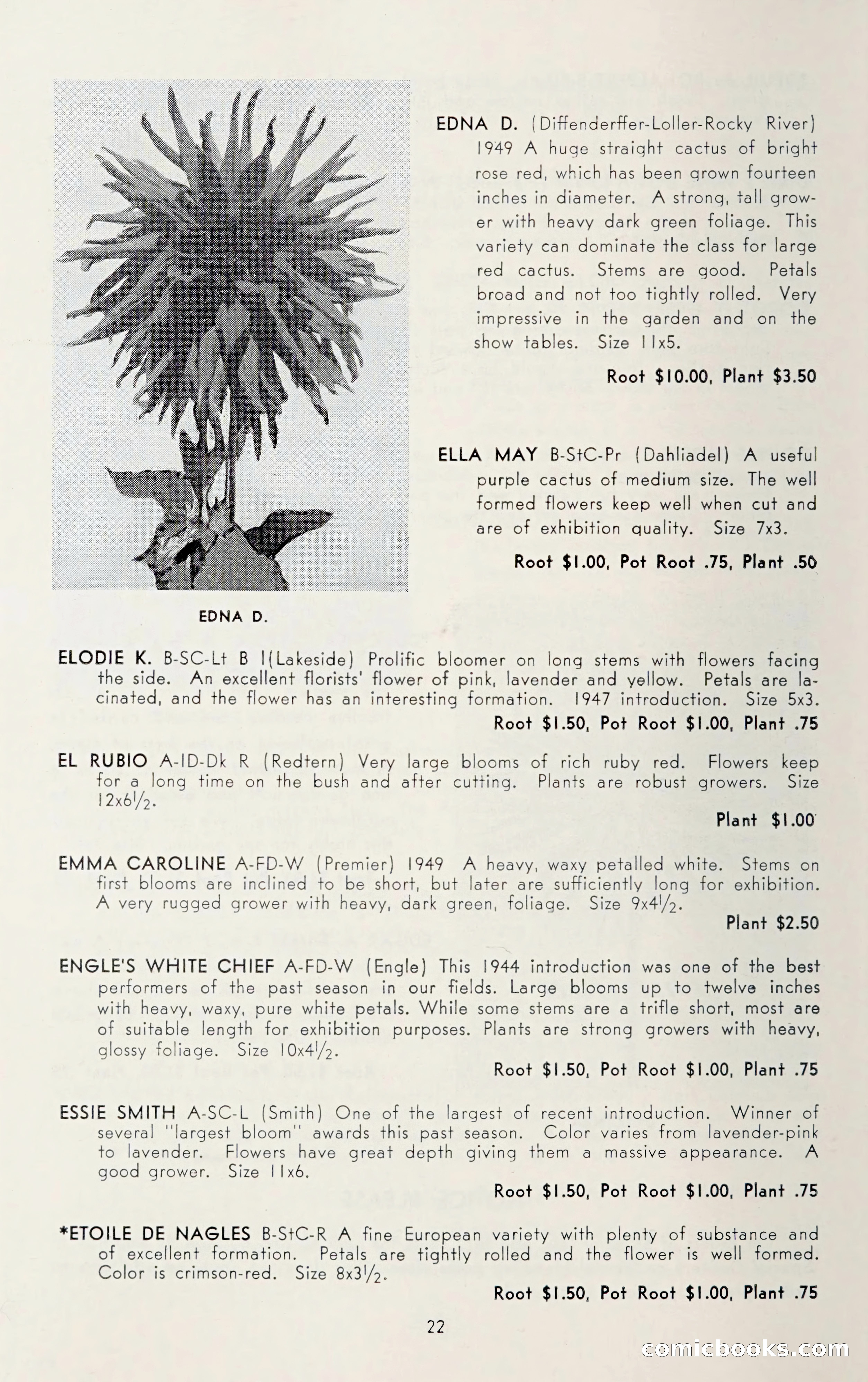 Dahlia Blue Book for 1950 — page 26 of 62
