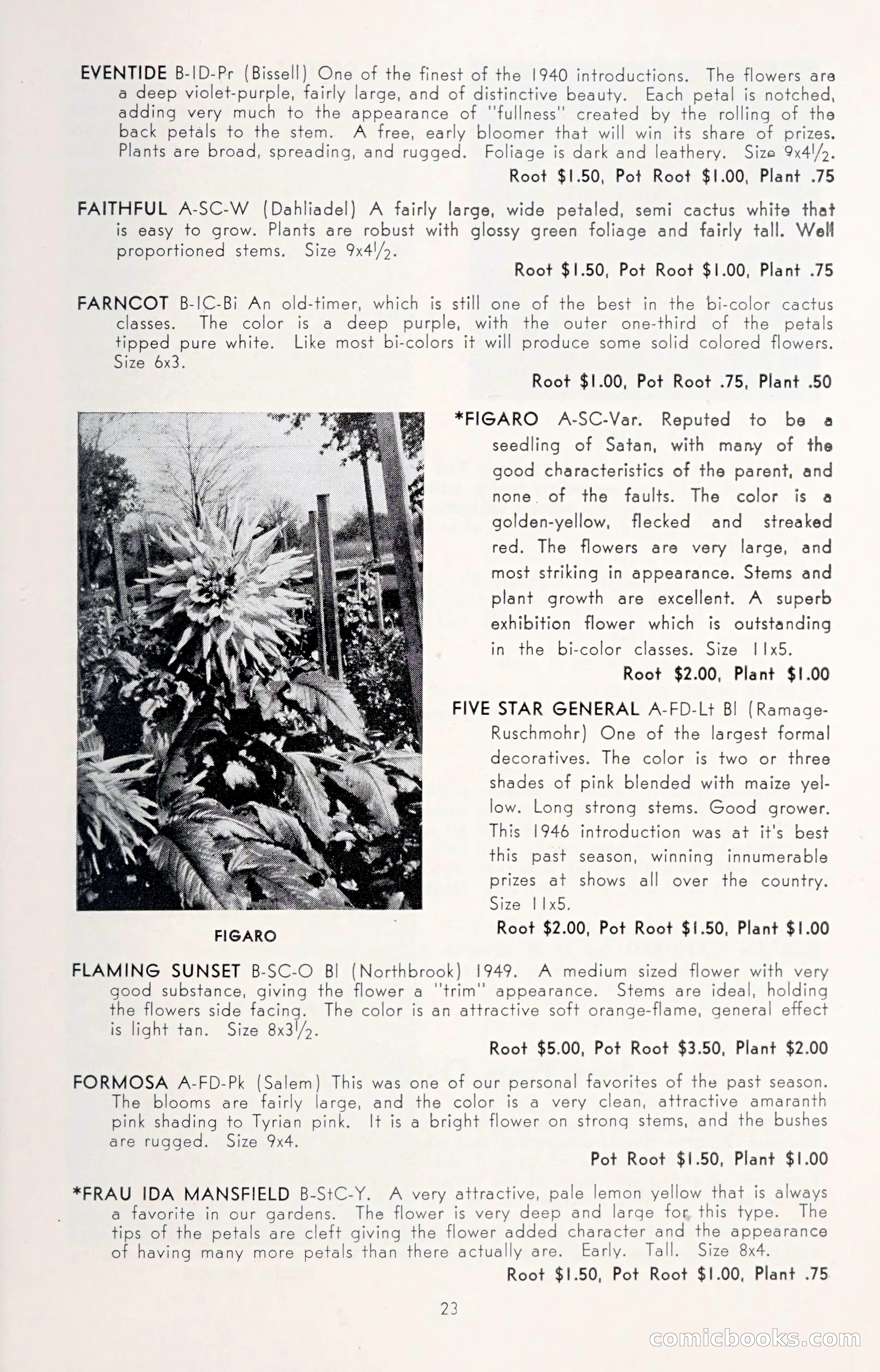 Dahlia Blue Book for 1950 — page 27 of 62