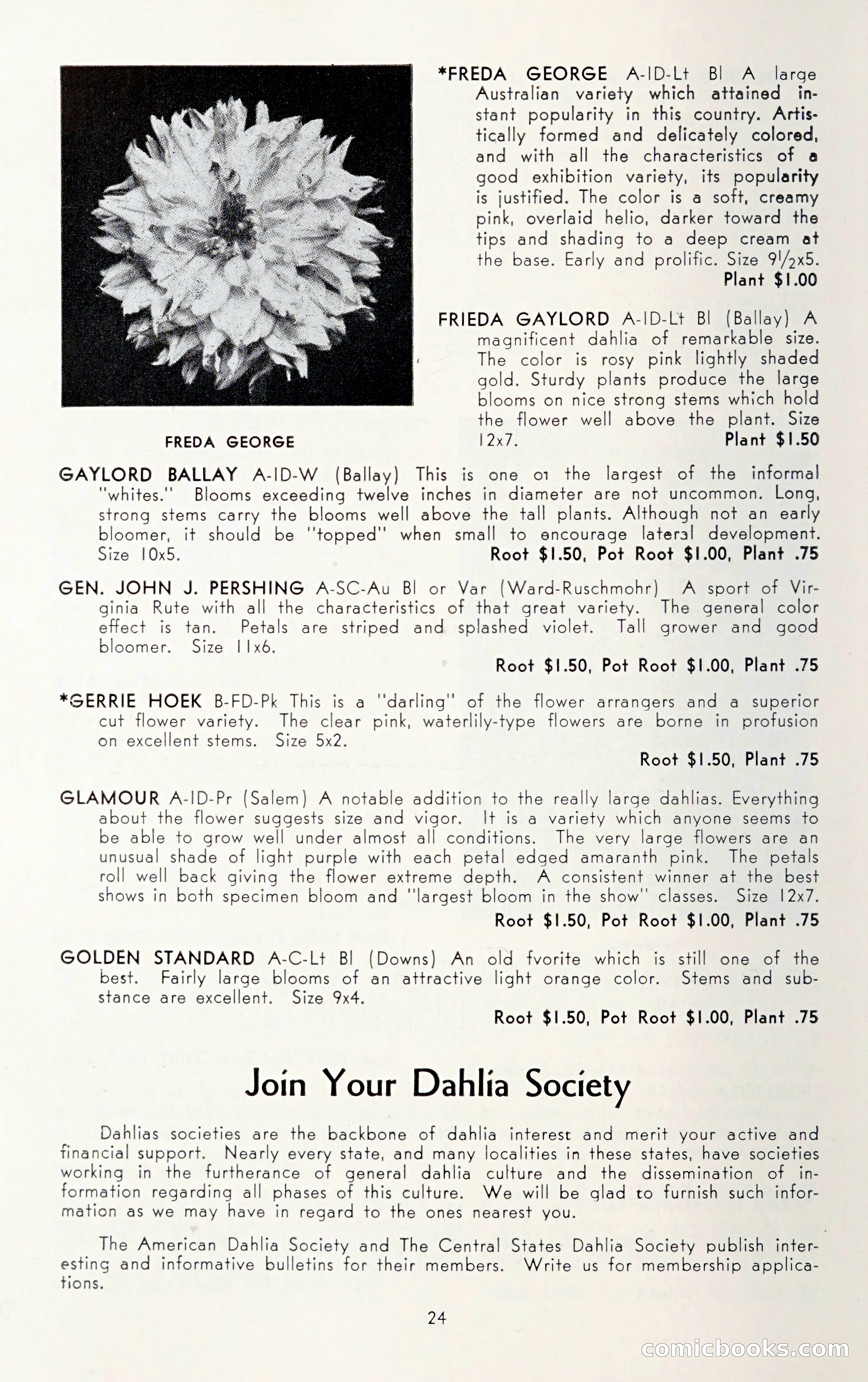 Dahlia Blue Book for 1950 — page 28 of 62