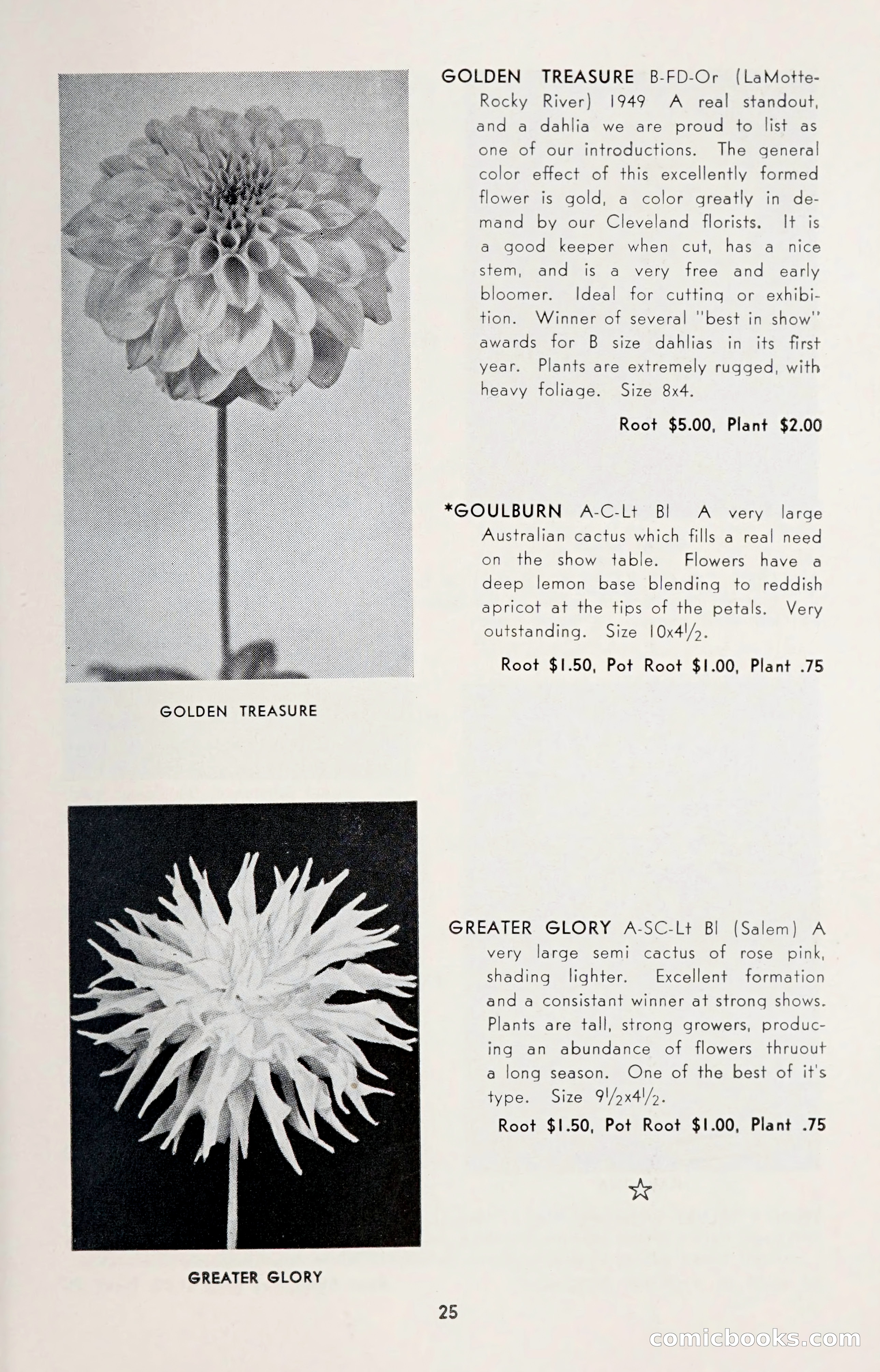 Dahlia Blue Book for 1950 — page 29 of 62