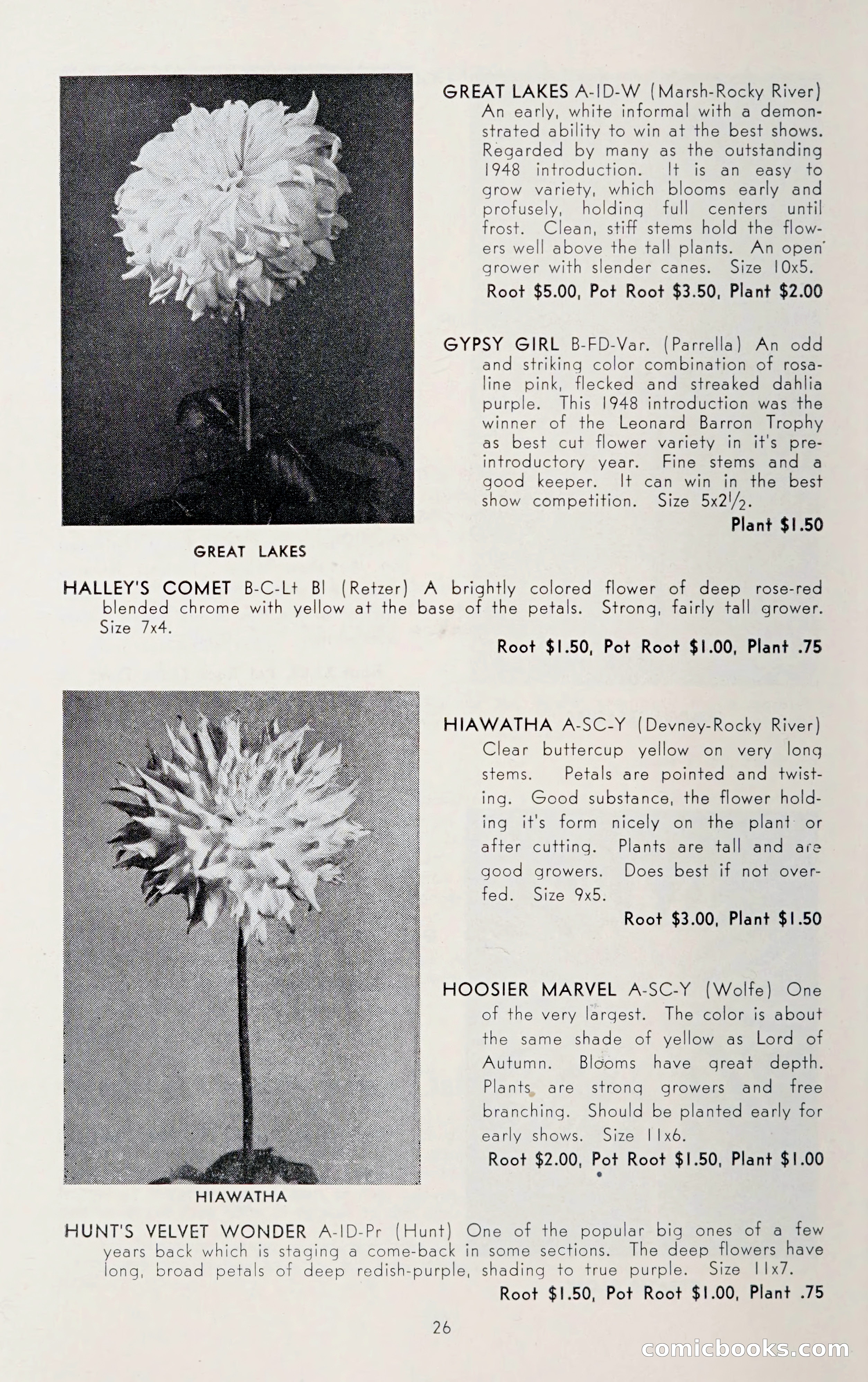 Dahlia Blue Book for 1950 — page 30 of 62