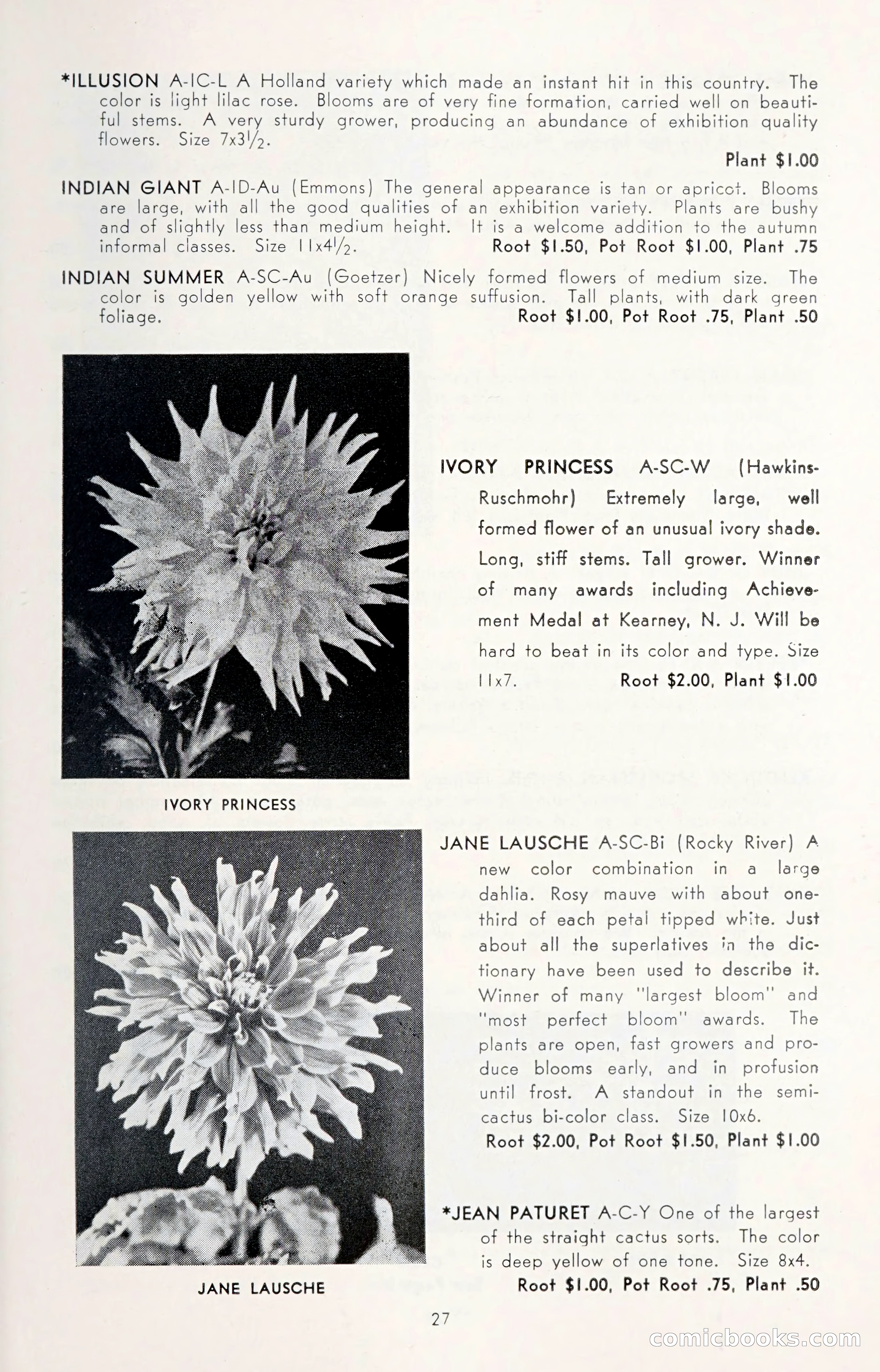 Dahlia Blue Book for 1950 — page 31 of 62