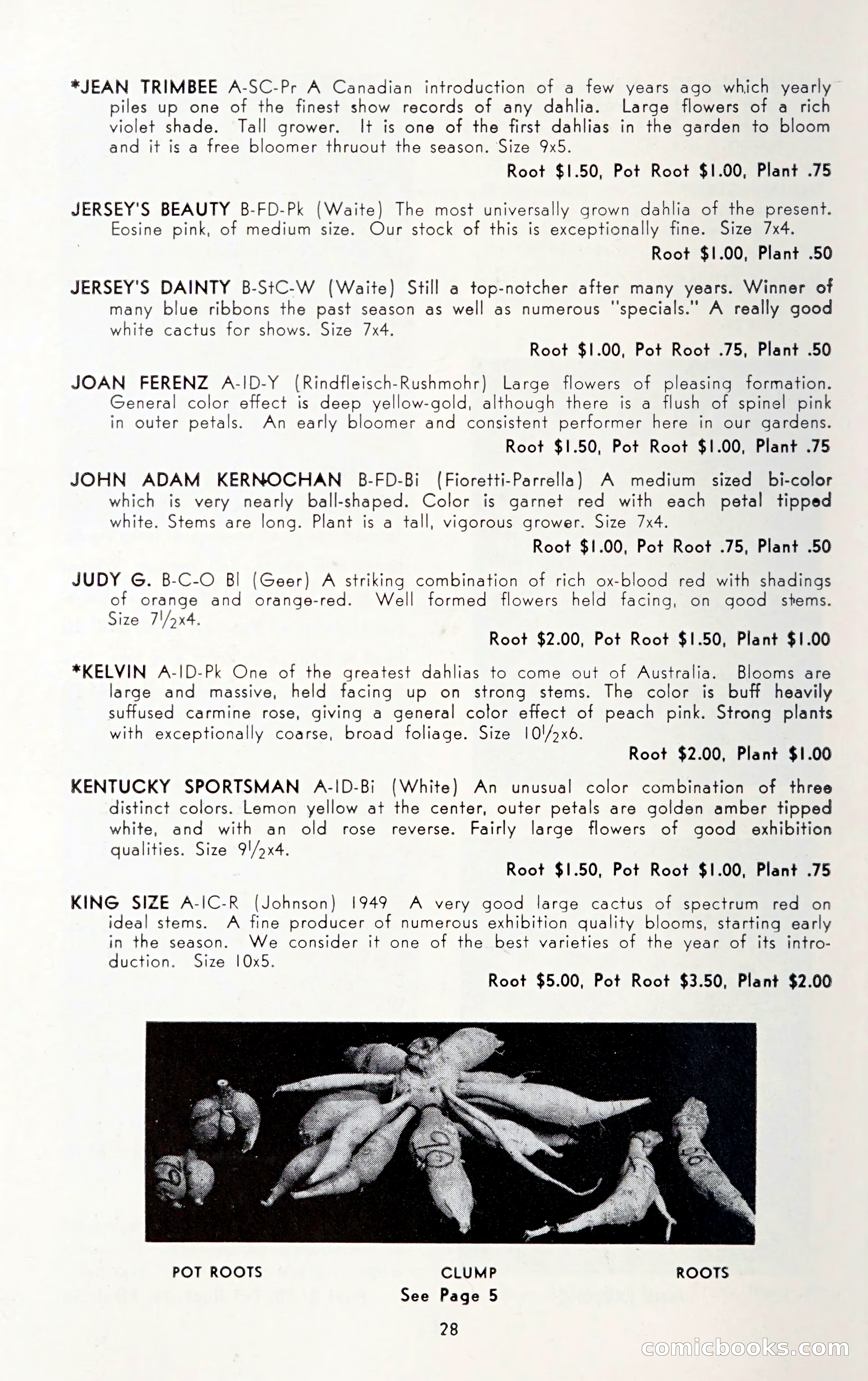 Dahlia Blue Book for 1950 — page 32 of 62