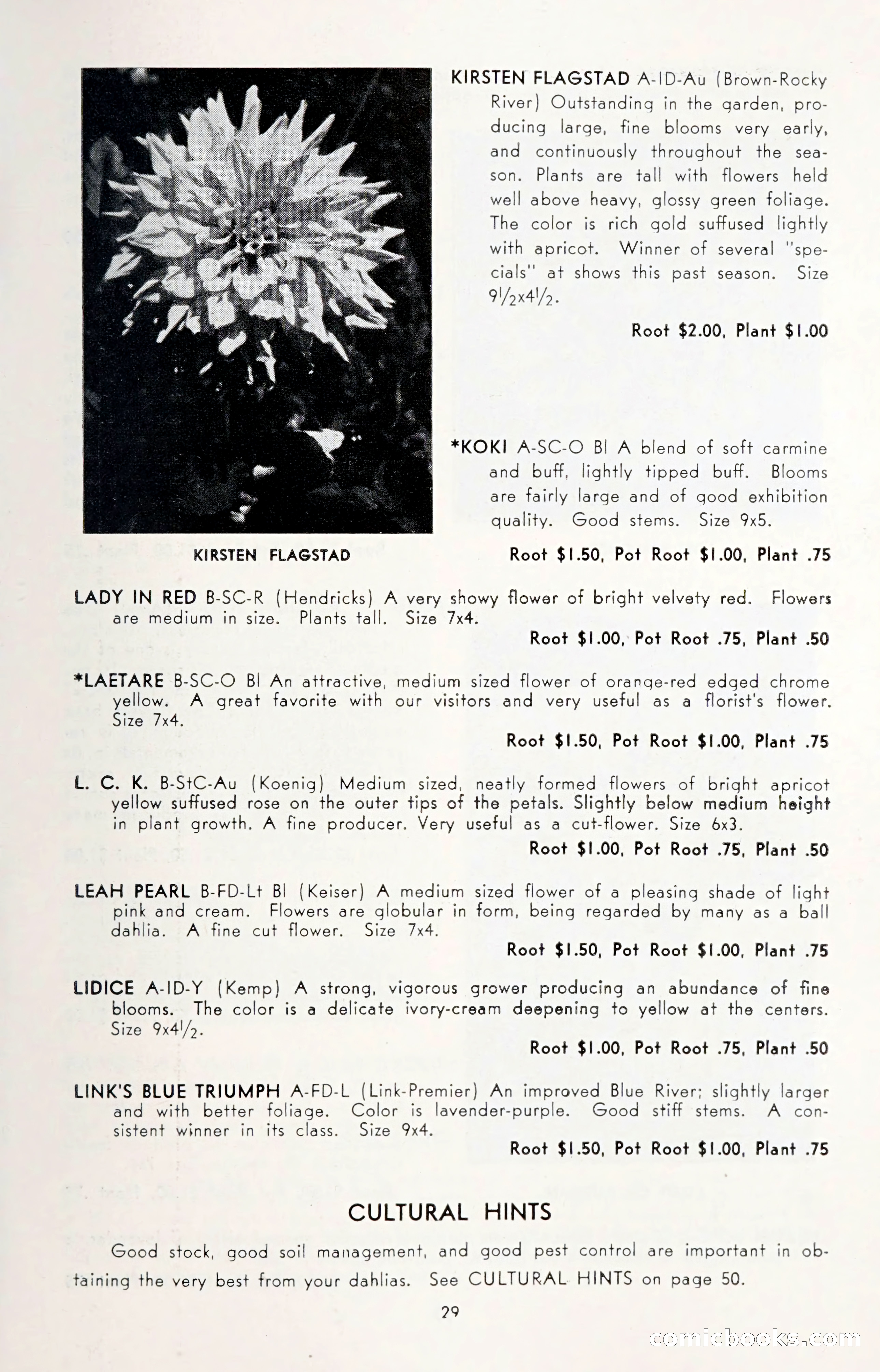 Dahlia Blue Book for 1950 — page 33 of 62