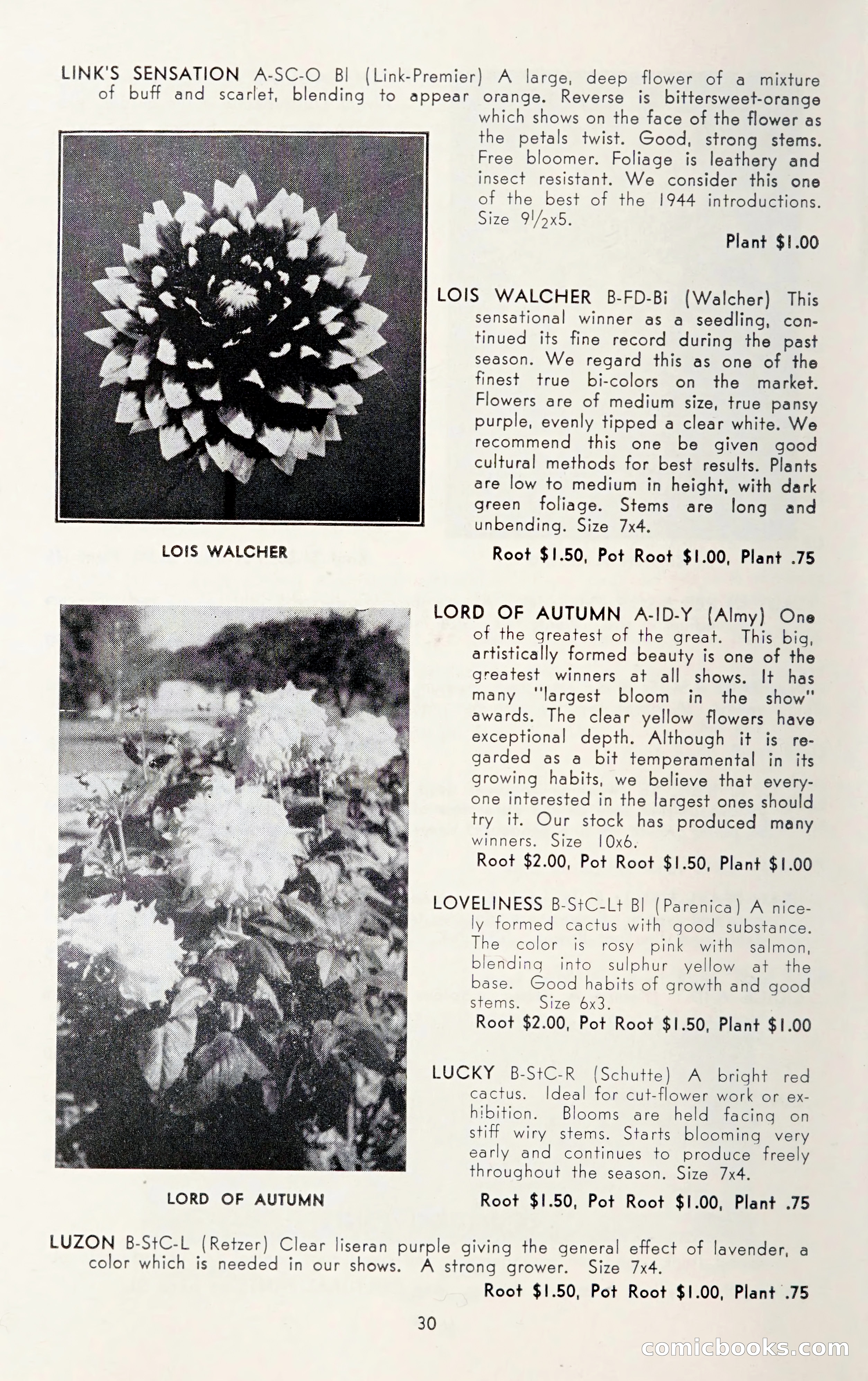 Dahlia Blue Book for 1950 — page 34 of 62