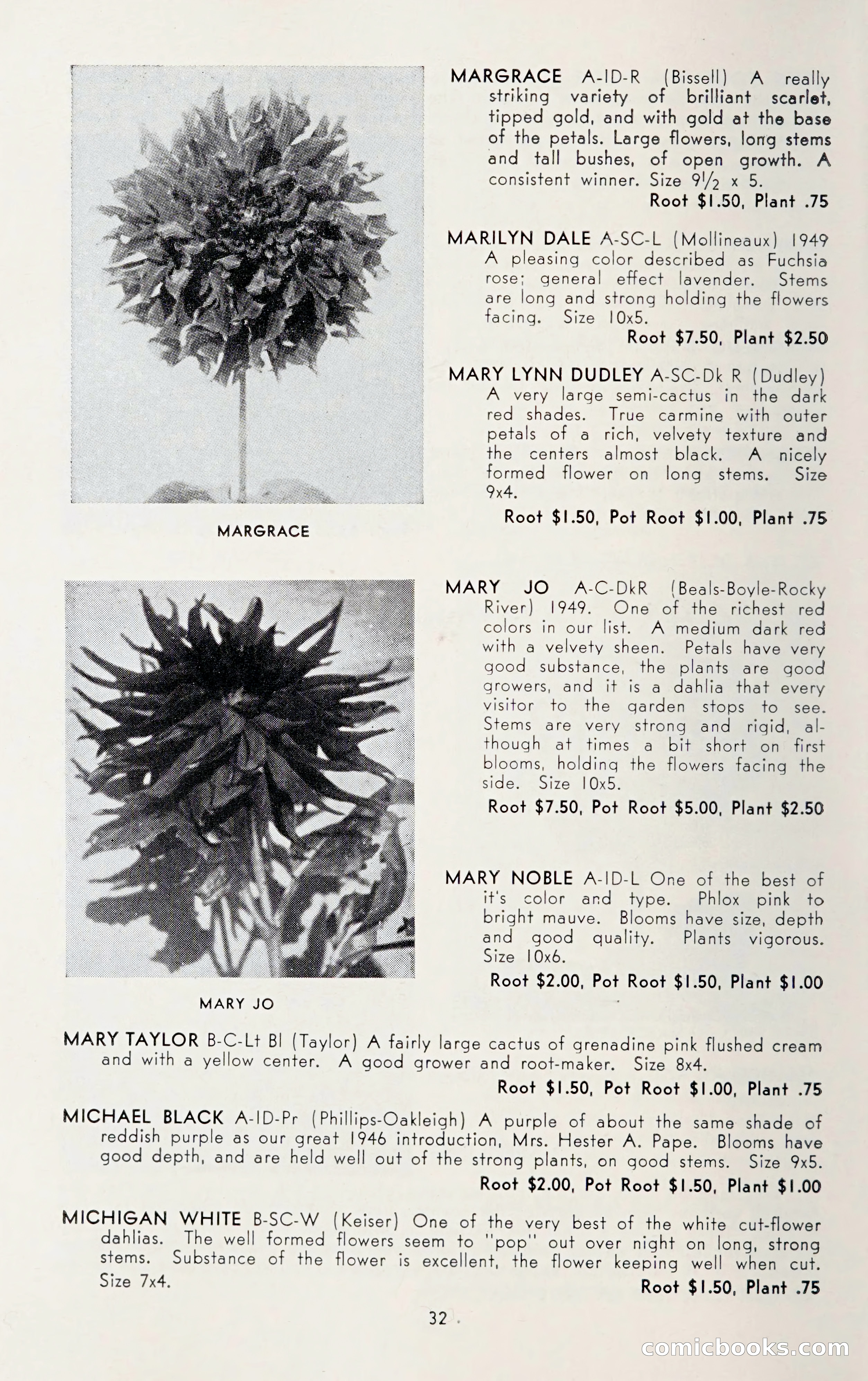 Dahlia Blue Book for 1950 — page 36 of 62