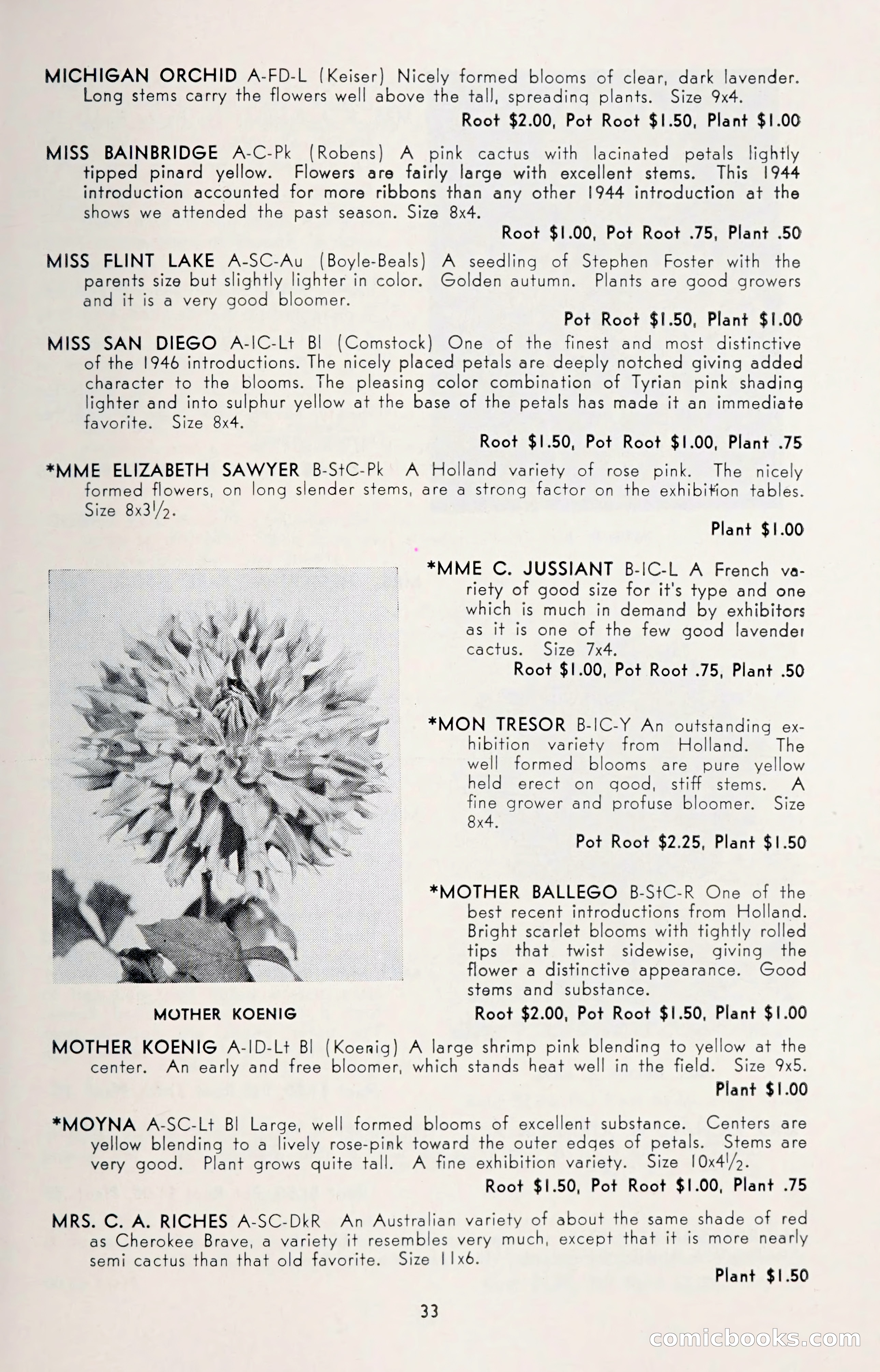 Dahlia Blue Book for 1950 — page 37 of 62