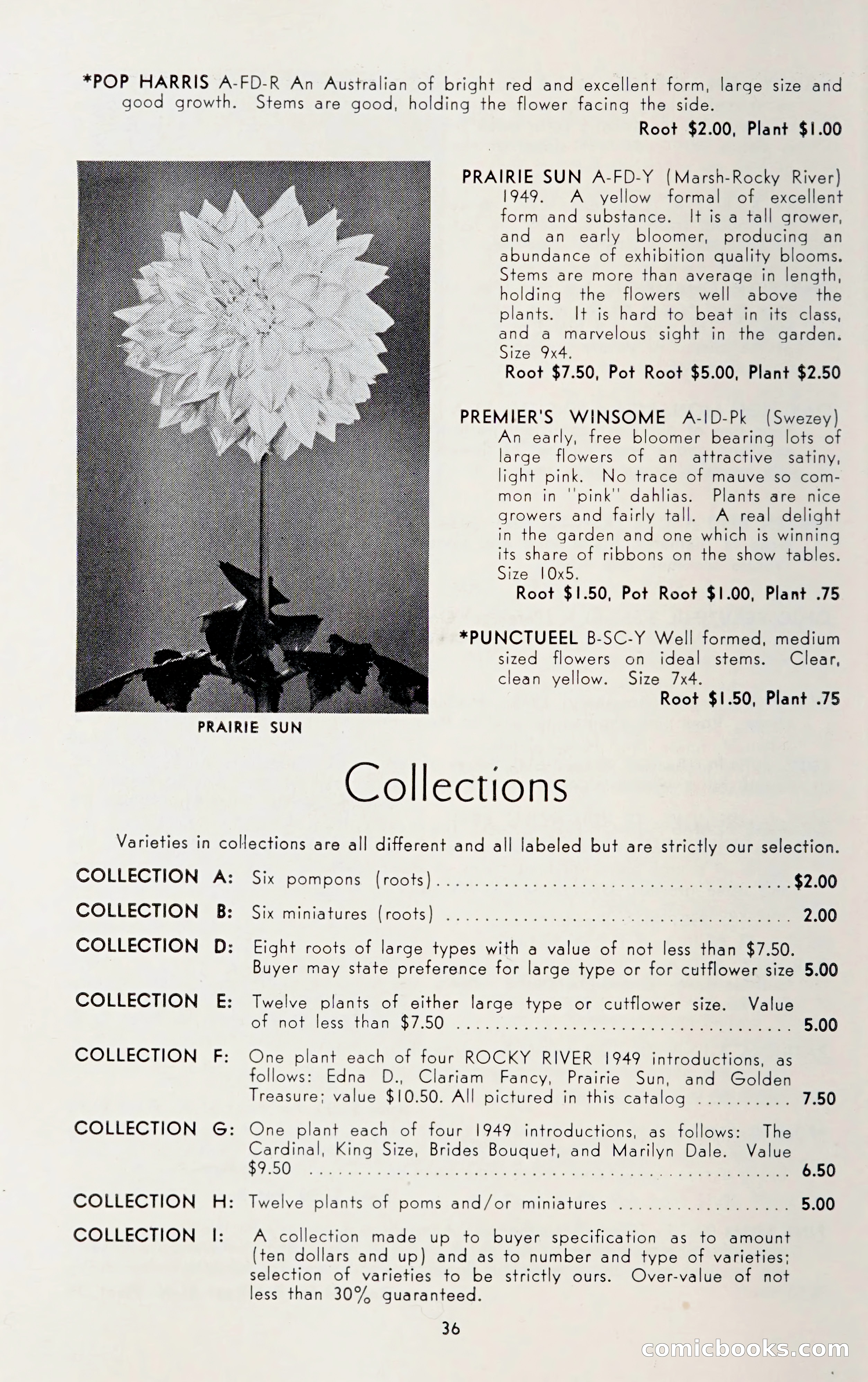 Dahlia Blue Book for 1950 — page 40 of 62