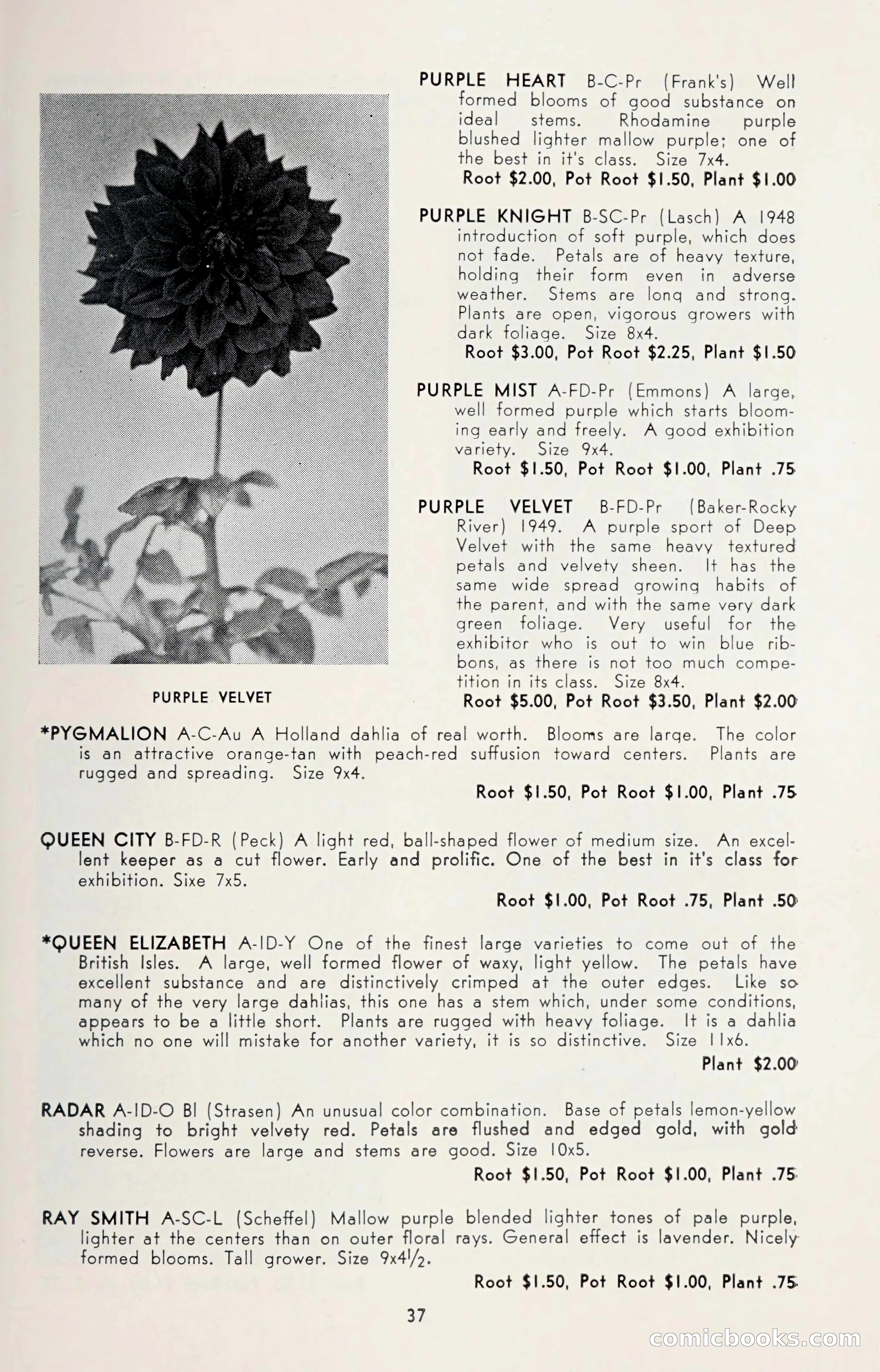 Dahlia Blue Book for 1950 — page 41 of 62