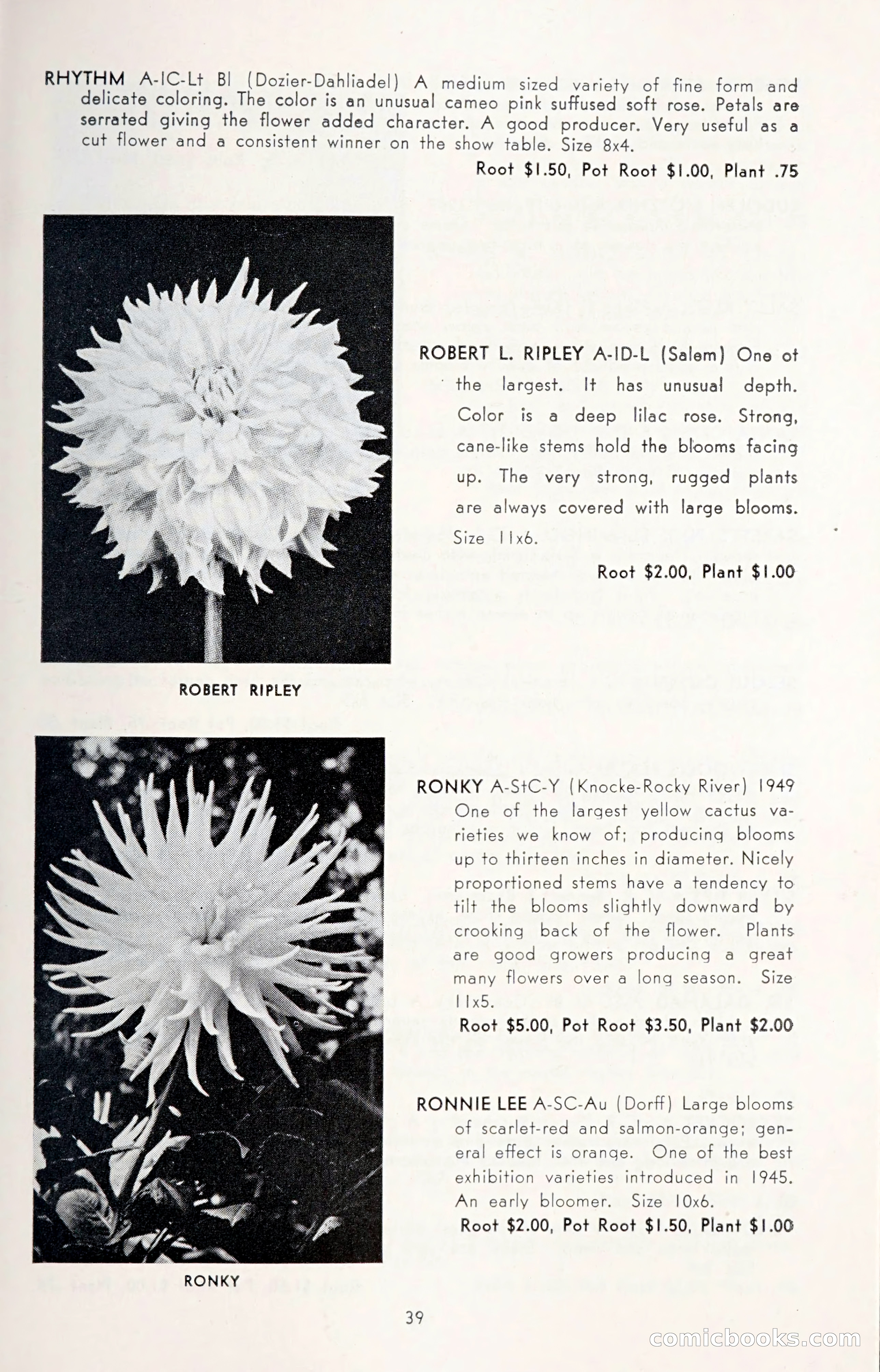 Dahlia Blue Book for 1950 — page 43 of 62