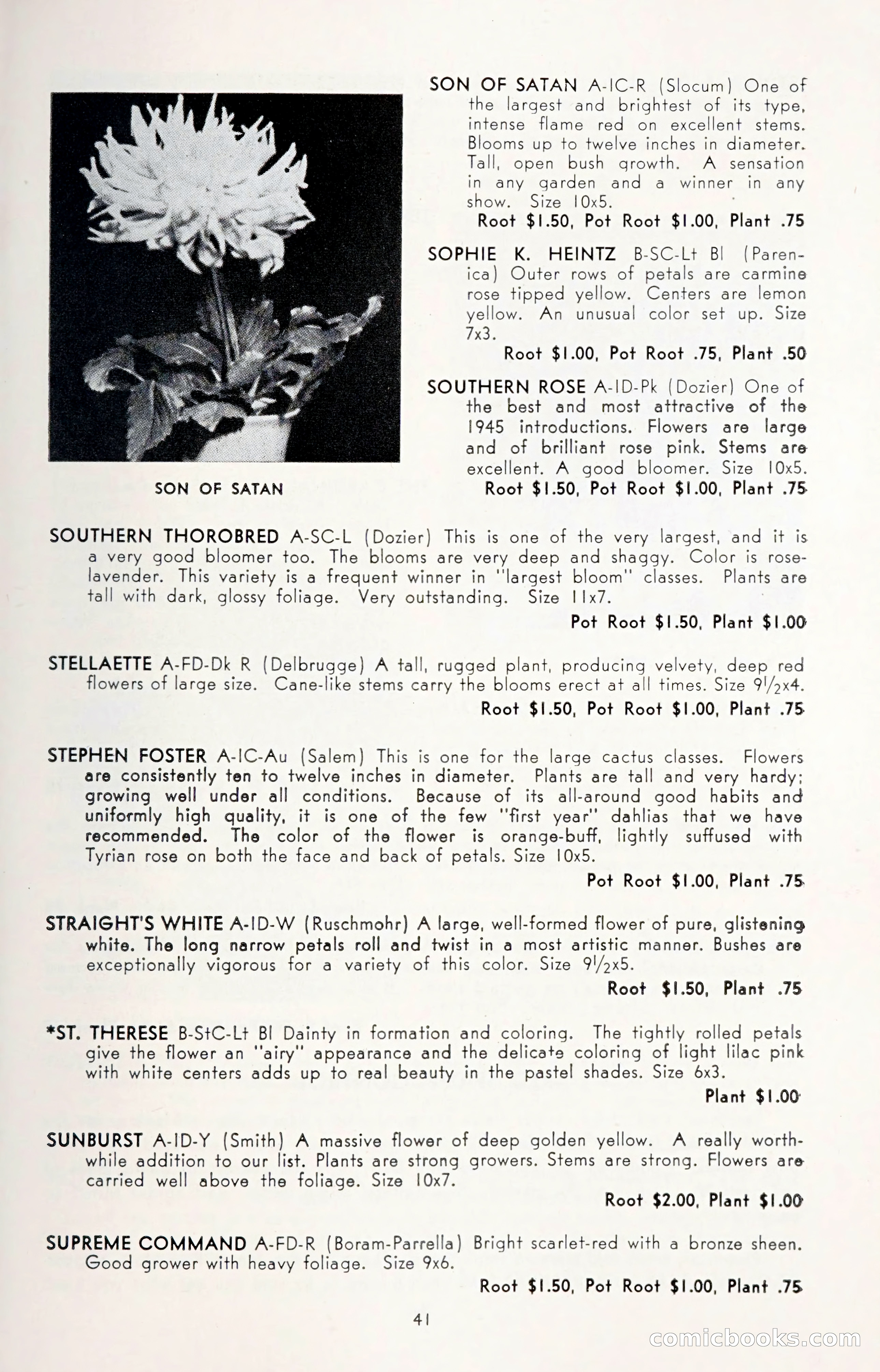 Dahlia Blue Book for 1950 — page 45 of 62