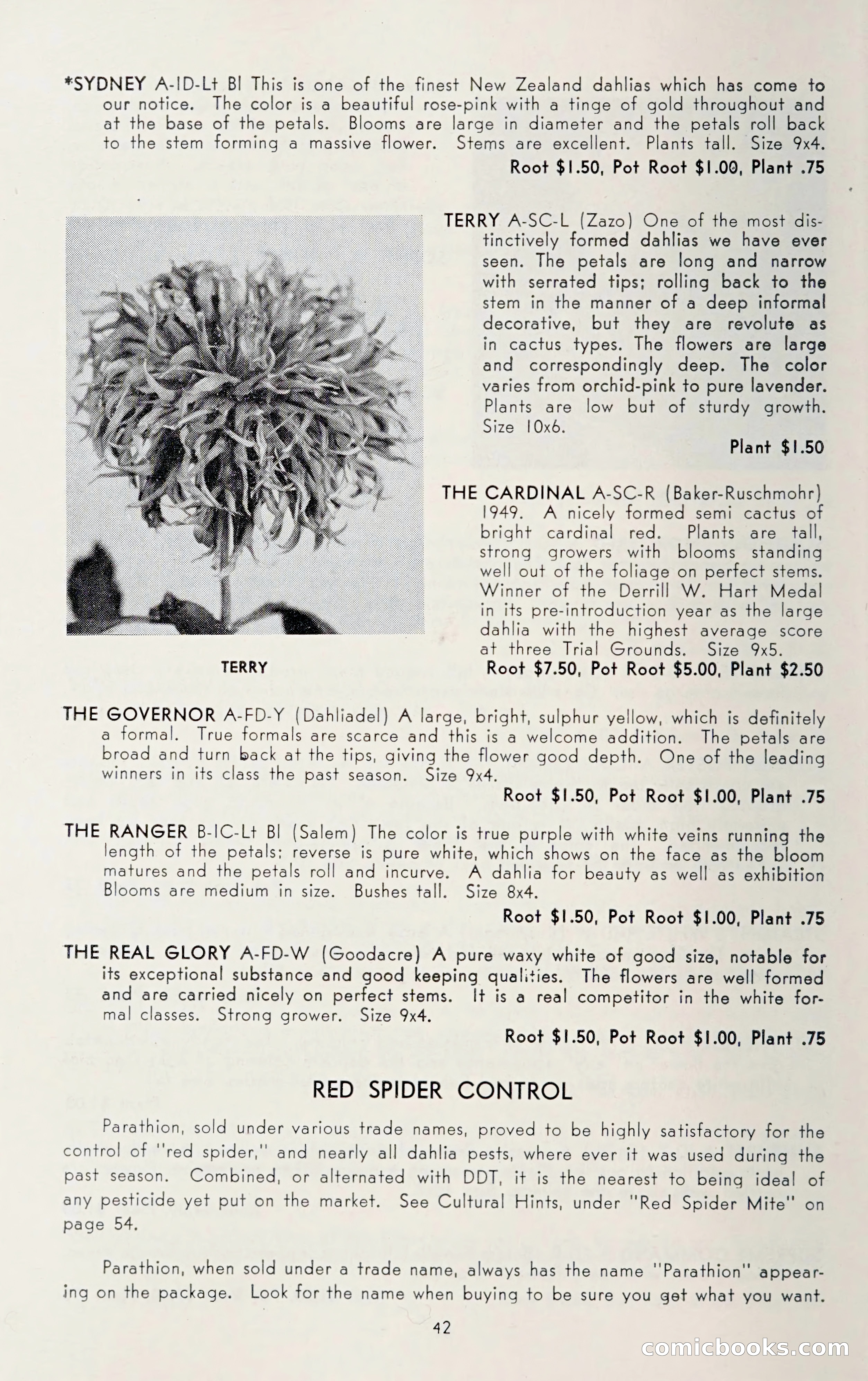 Dahlia Blue Book for 1950 — page 46 of 62