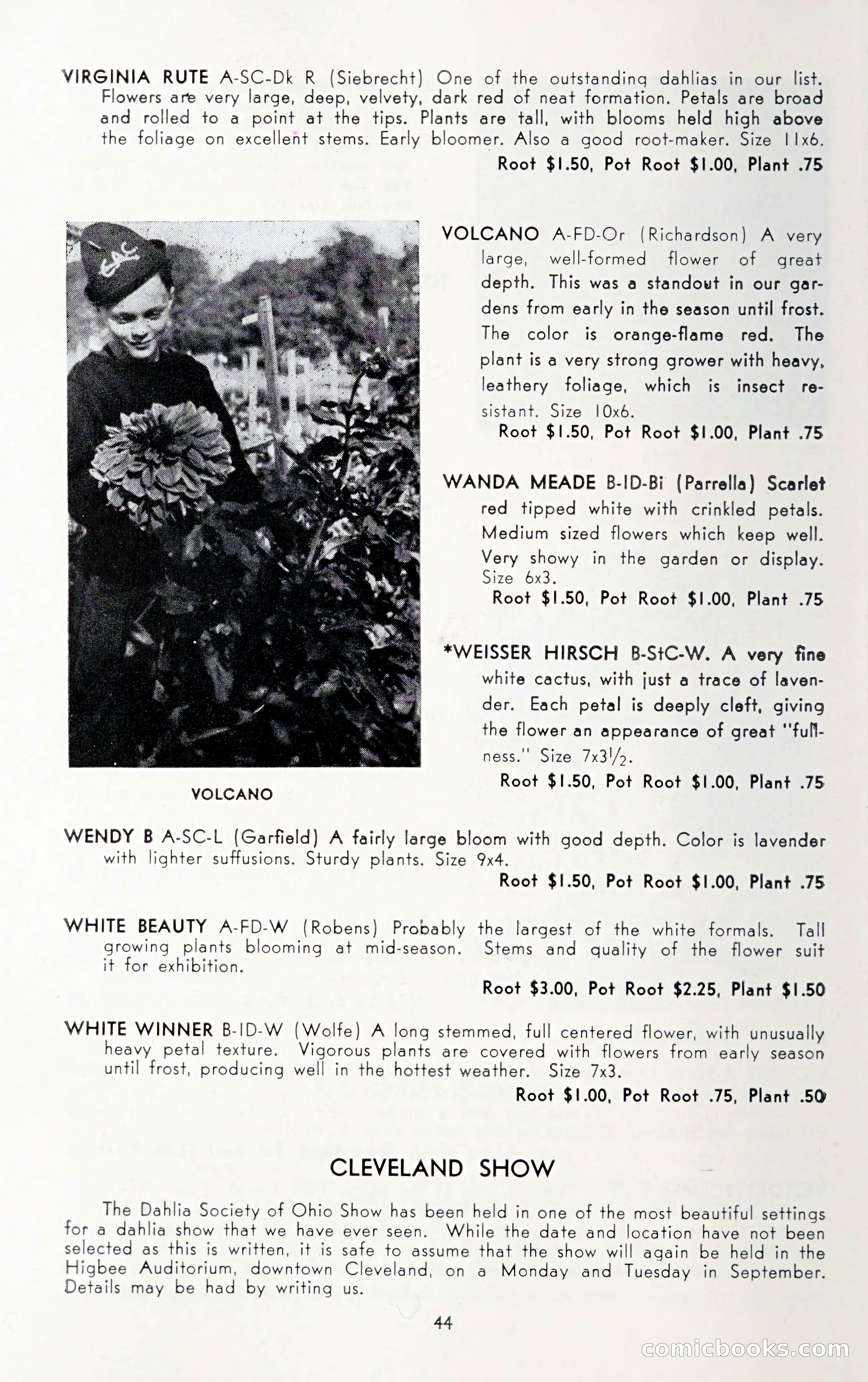 Dahlia Blue Book for 1950 — page 48 of 62