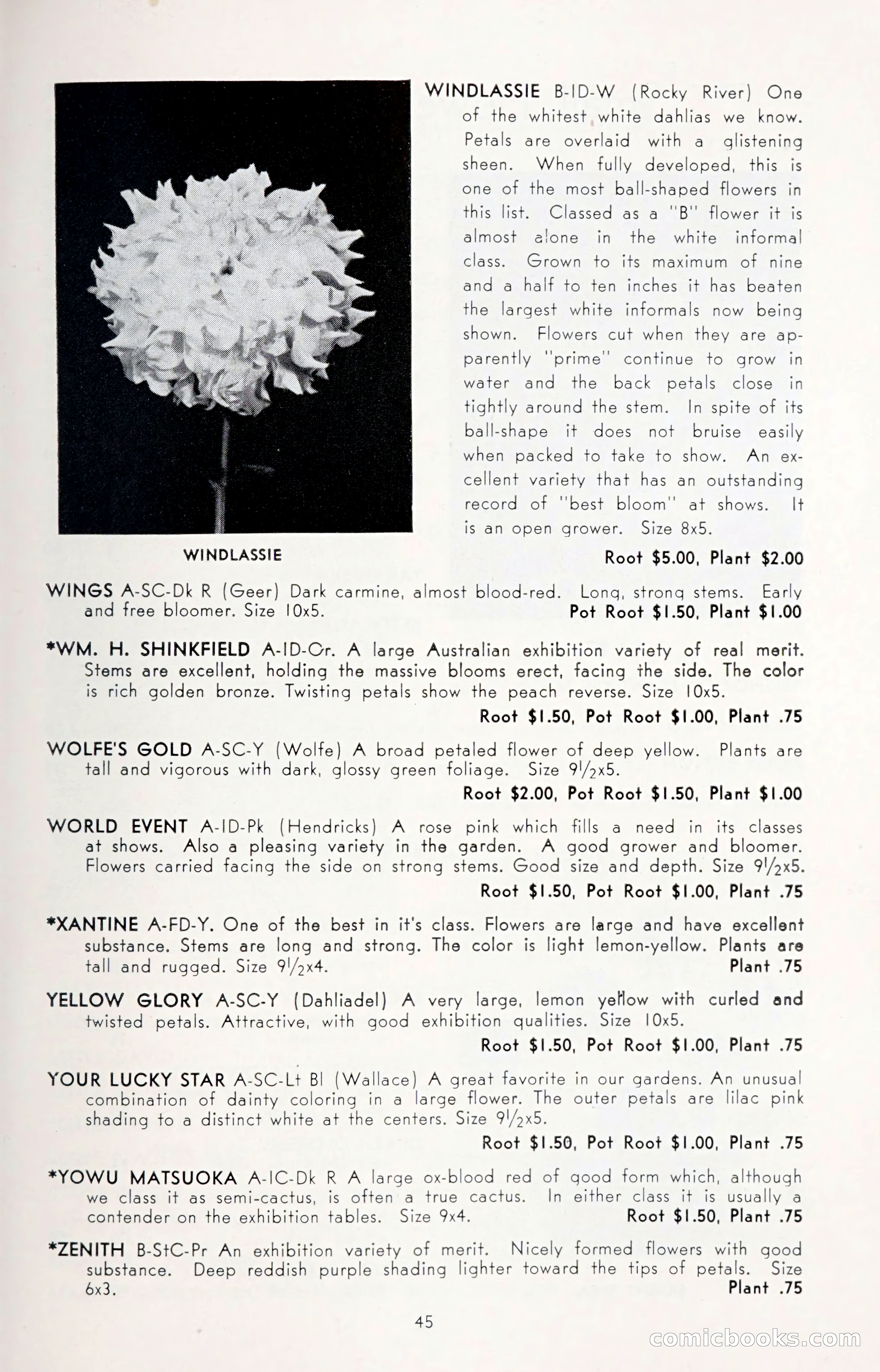 Dahlia Blue Book for 1950 — page 49 of 62