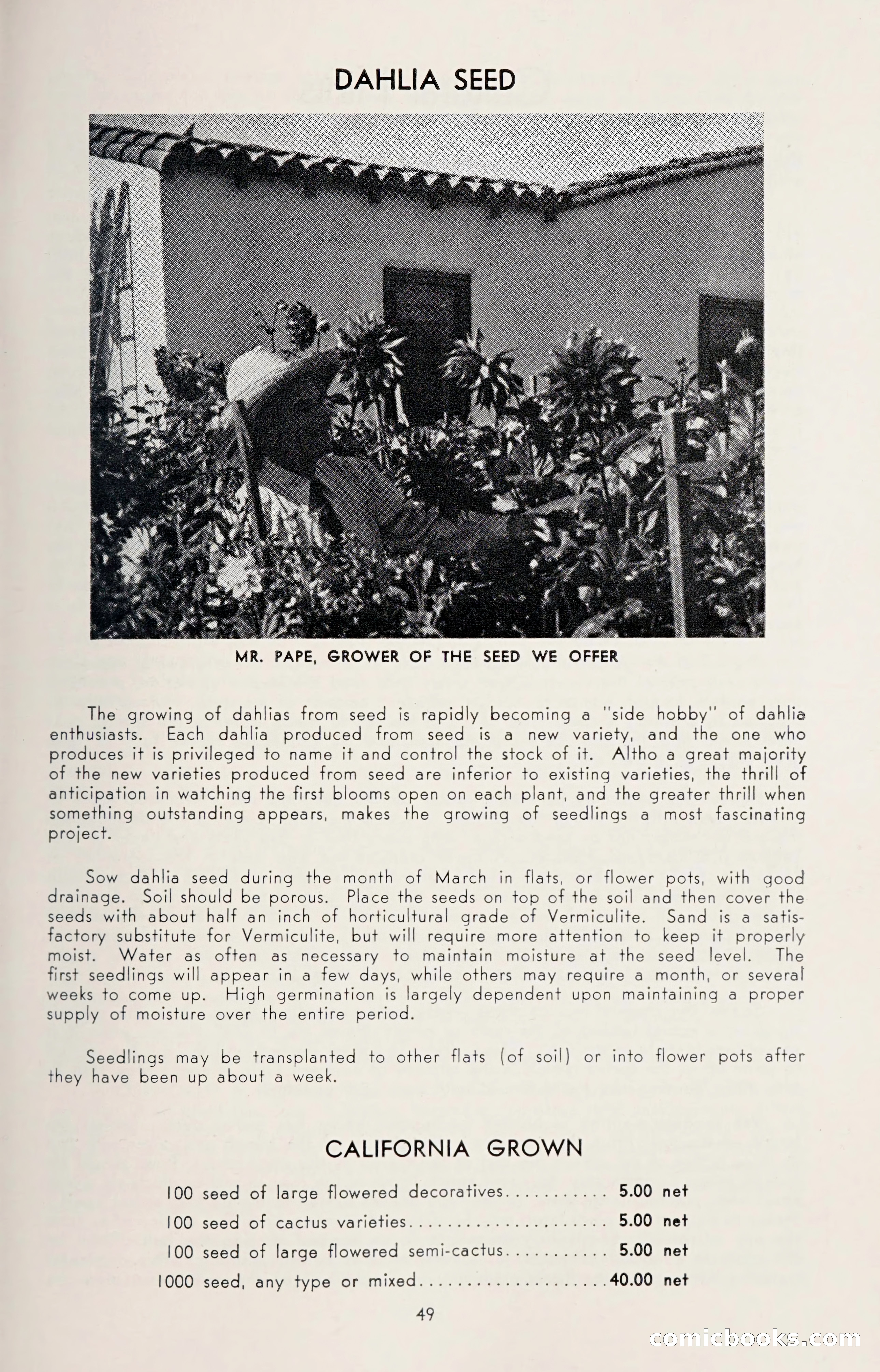 Dahlia Blue Book for 1950 — page 53 of 62