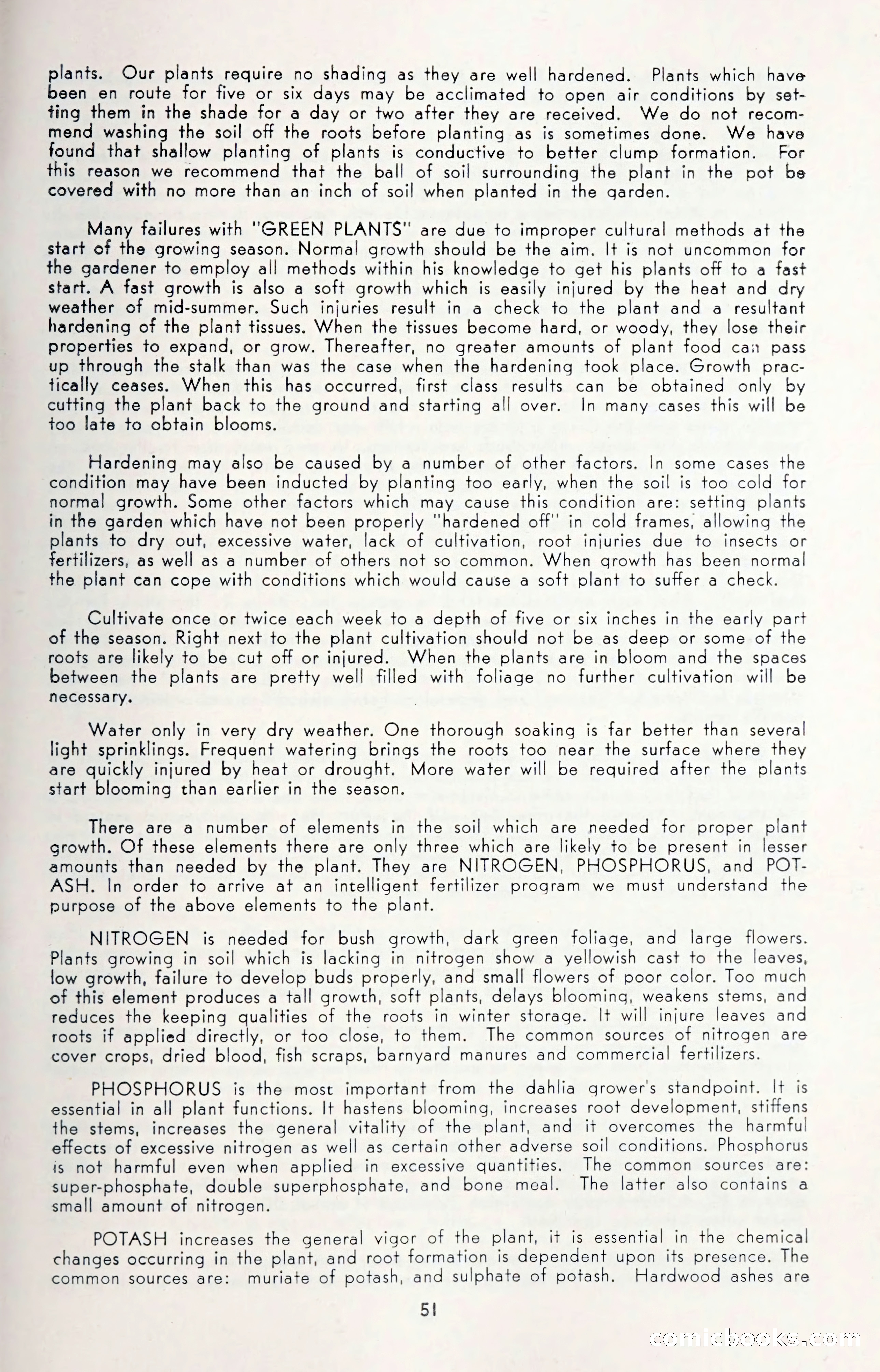 Dahlia Blue Book for 1950 — page 55 of 62