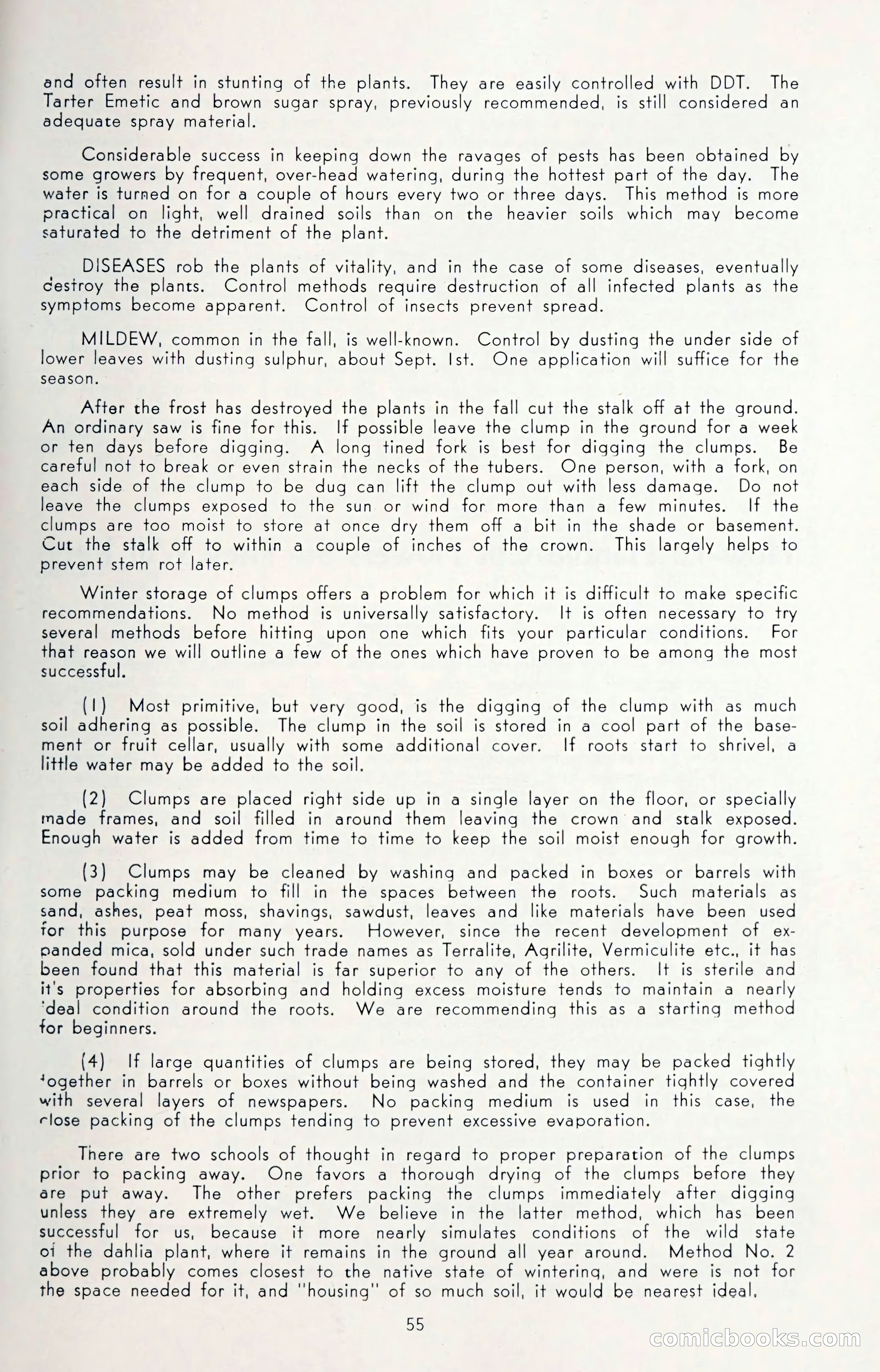 Dahlia Blue Book for 1950 — page 59 of 62
