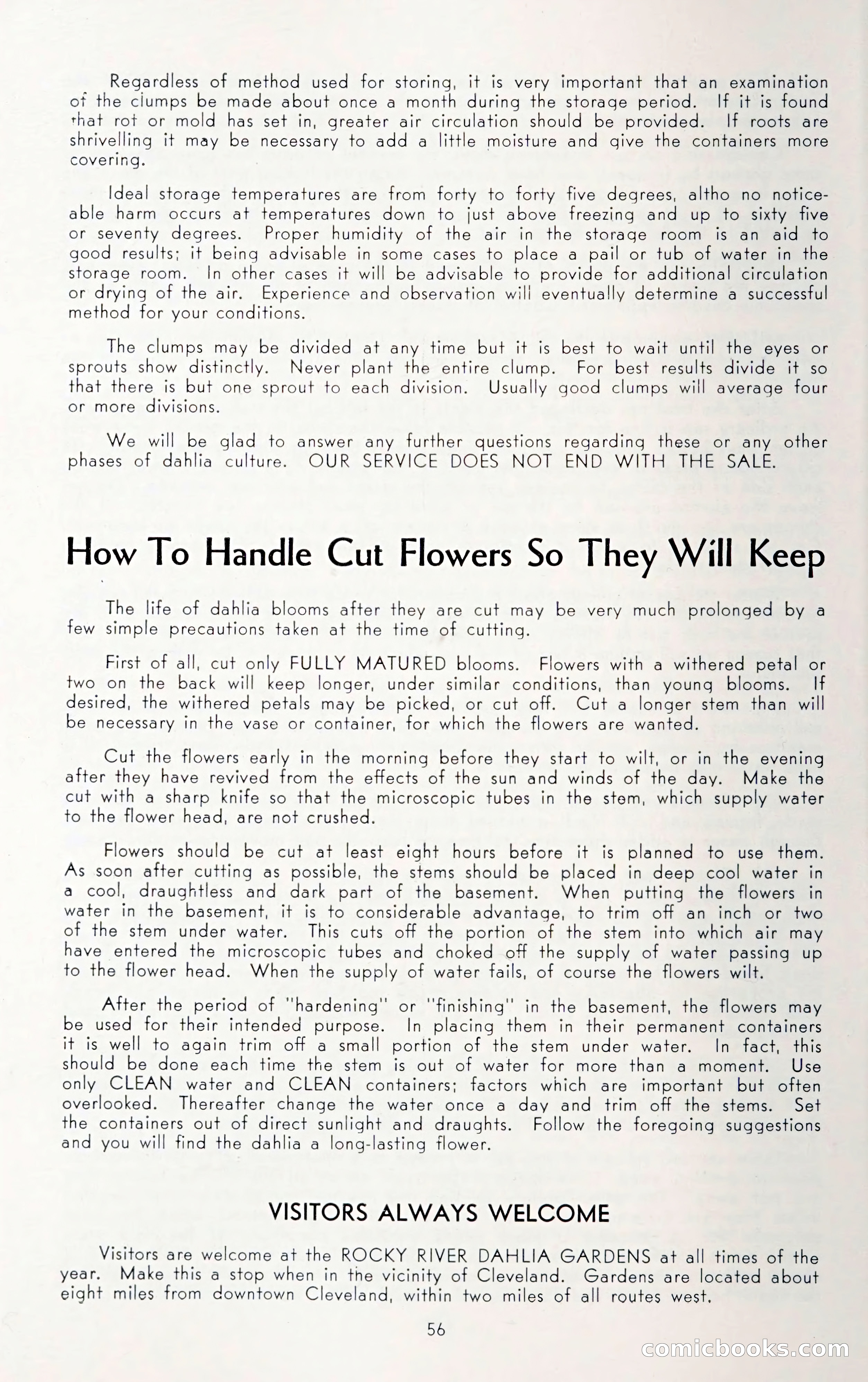 Dahlia Blue Book for 1950 — page 60 of 62