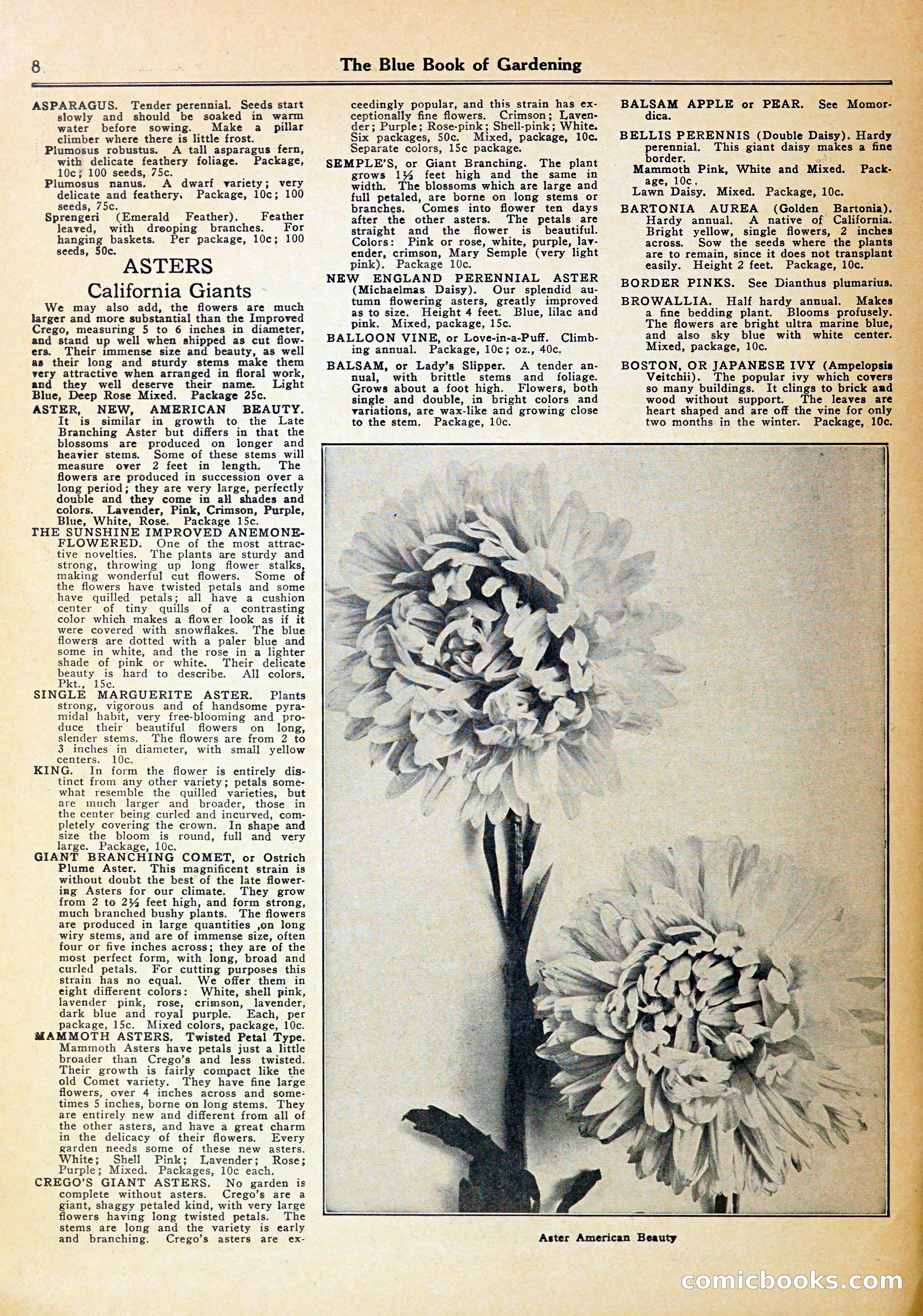 Blue Book of Gardening — page 12 of 70