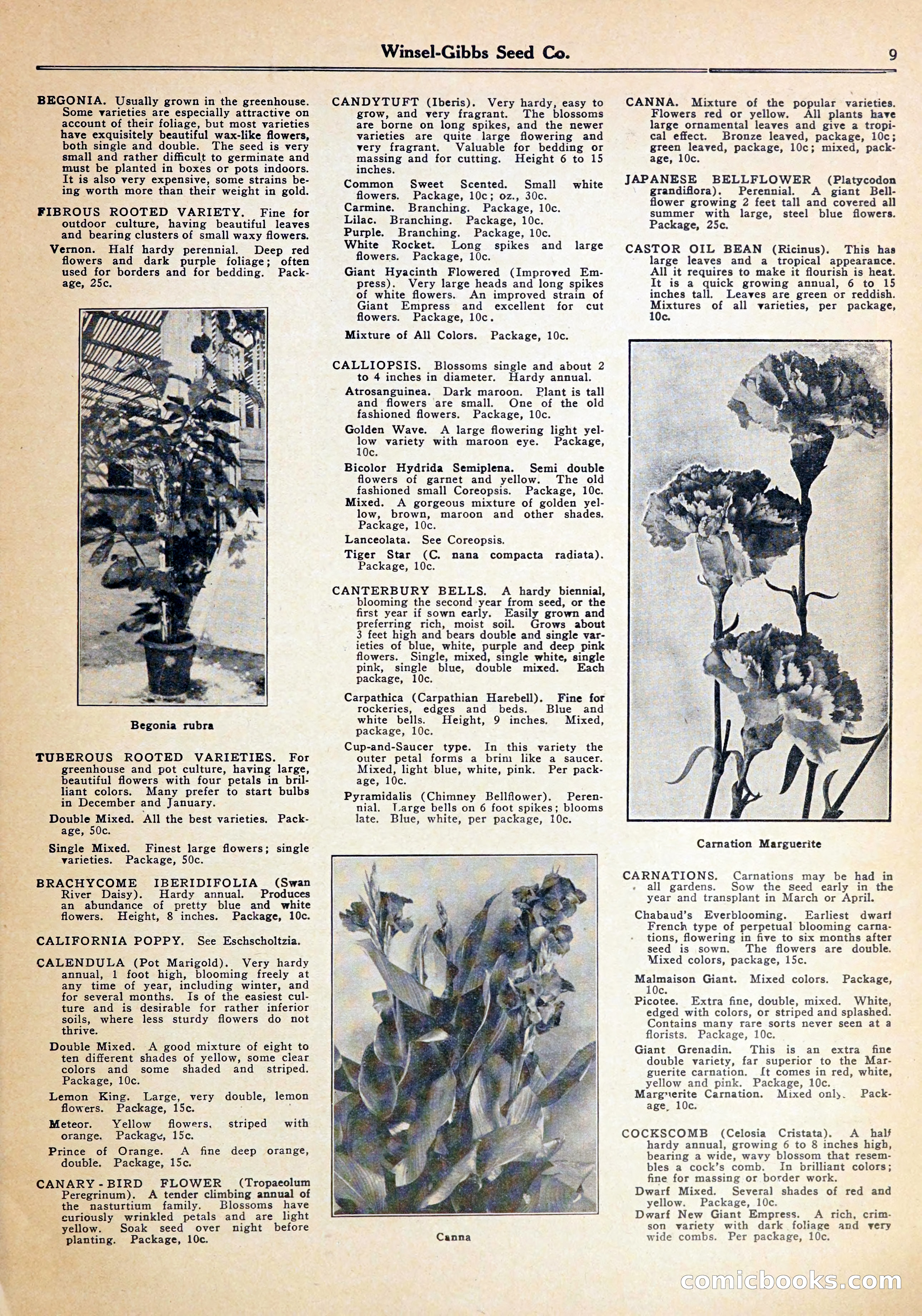 Blue Book of Gardening — page 13 of 70
