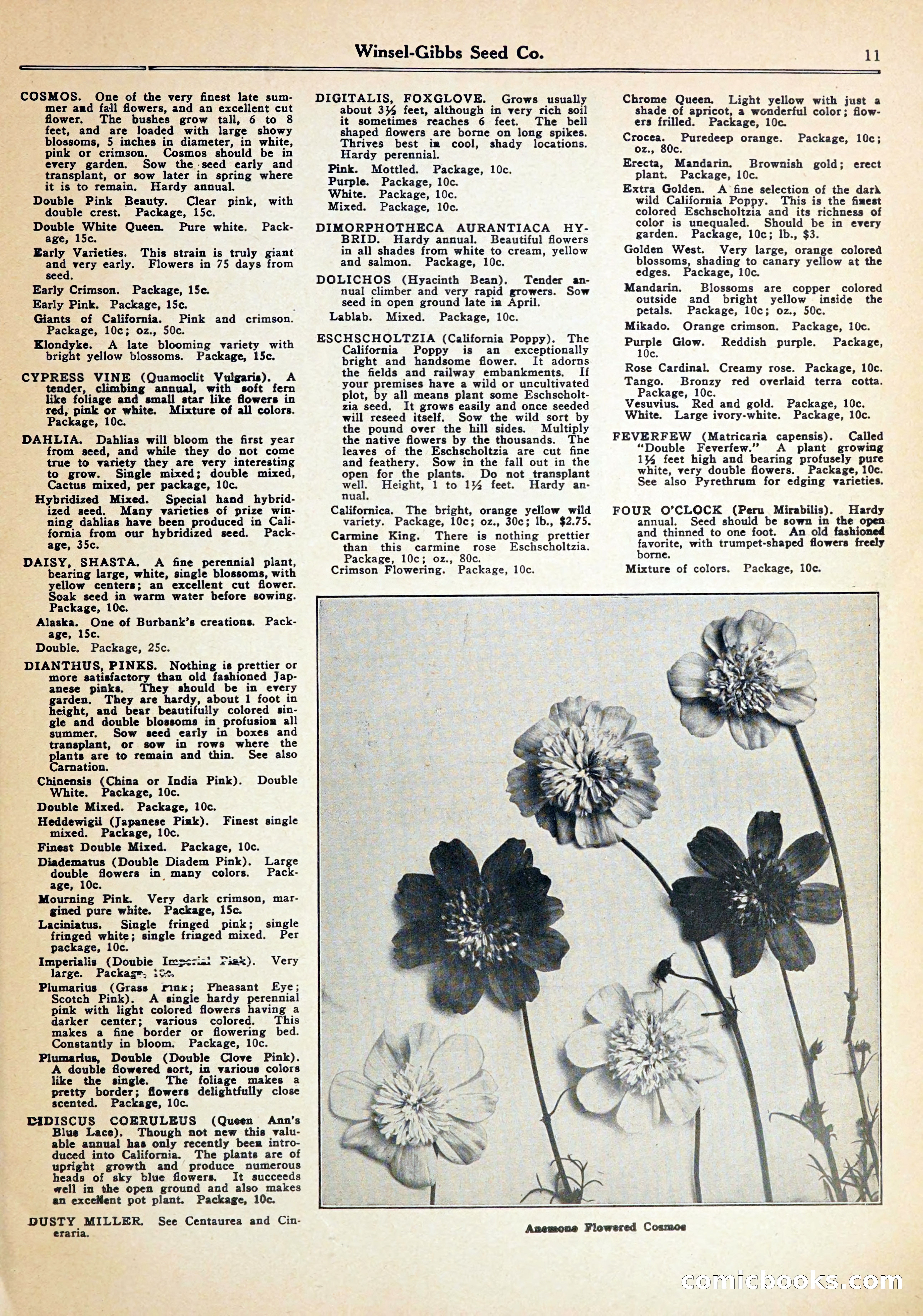 Blue Book of Gardening — page 15 of 70