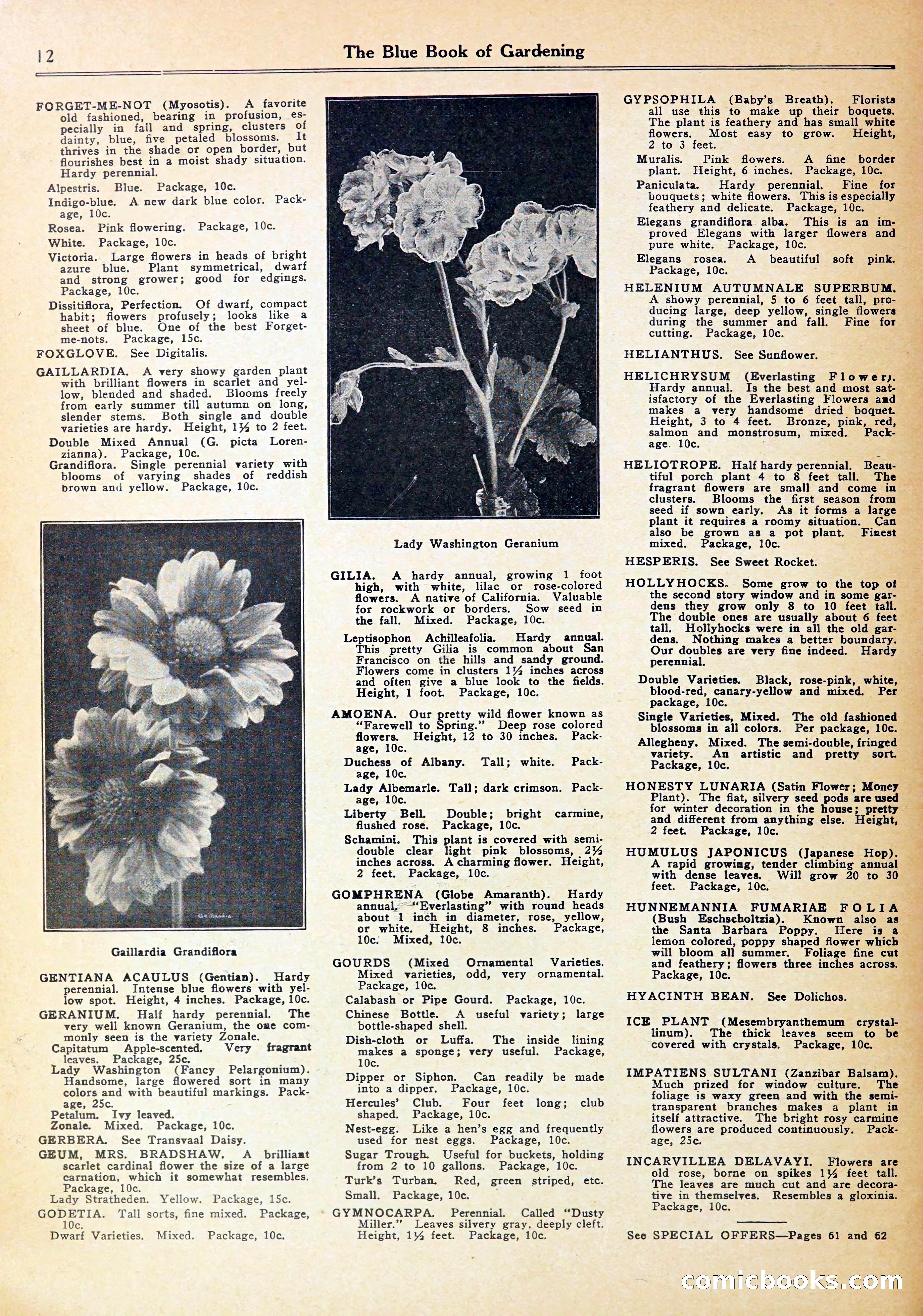 Blue Book of Gardening — page 16 of 70