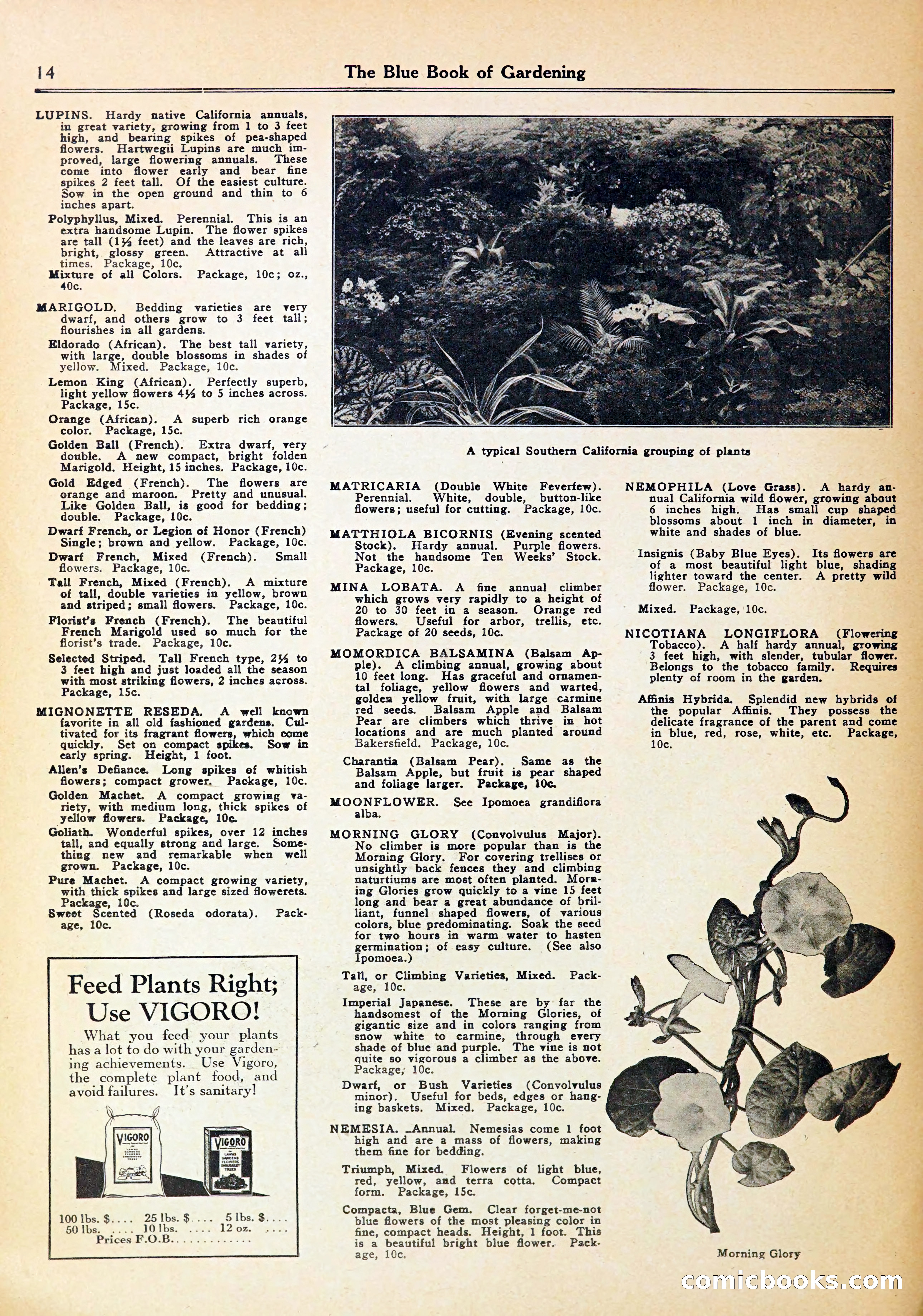 Blue Book of Gardening — page 18 of 70