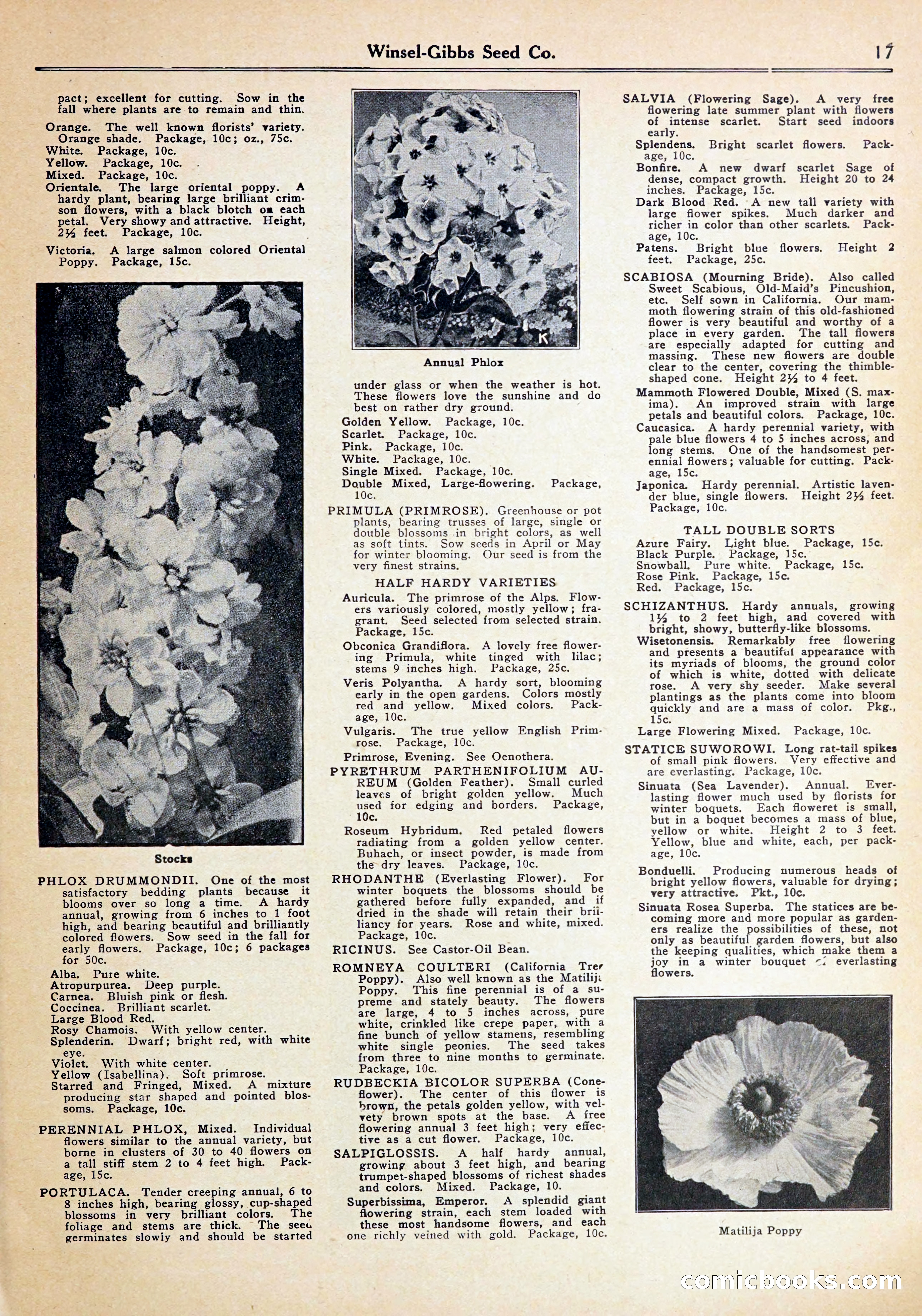 Blue Book of Gardening — page 21 of 70
