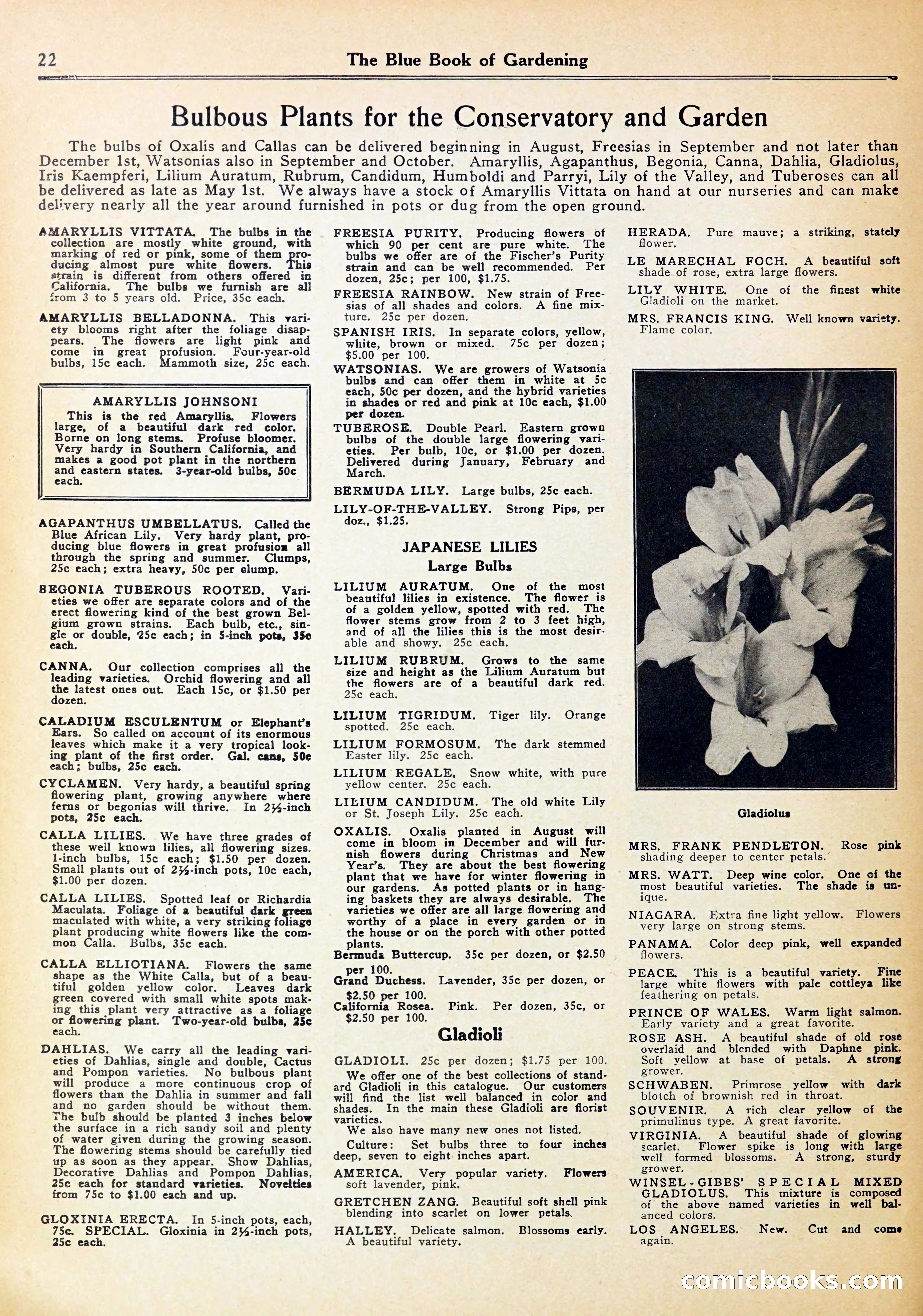 Blue Book of Gardening — page 26 of 70